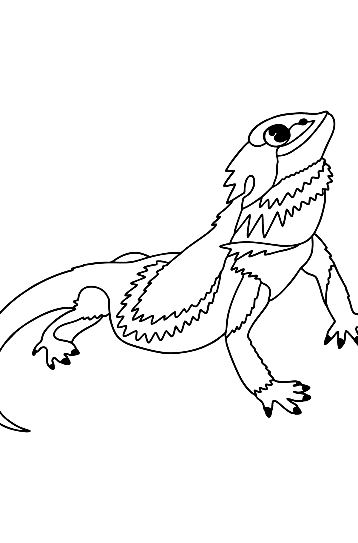 Lizard Bearded Dragon сoloring page - Coloring Pages for Kids
