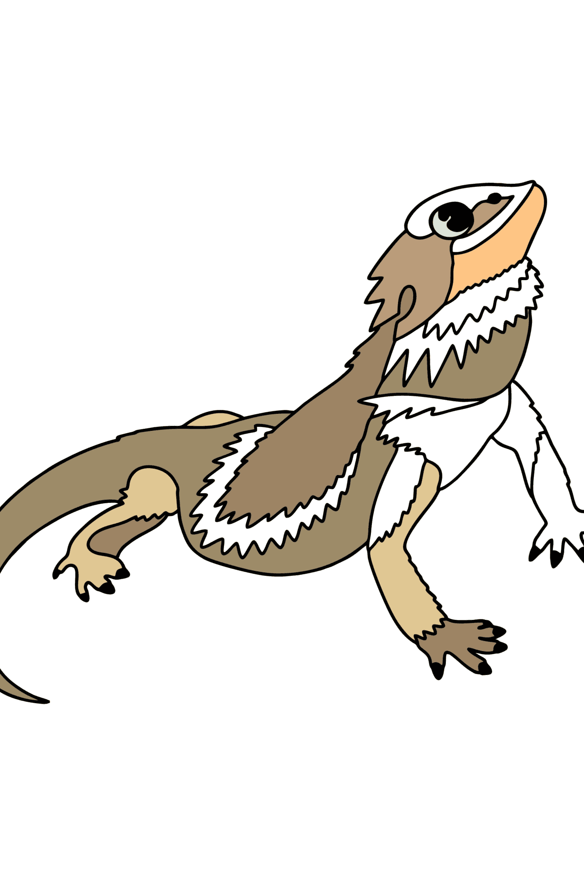 Desenho Dragão barbudo lagarto para colorir - Imagens para Colorir para Crianças