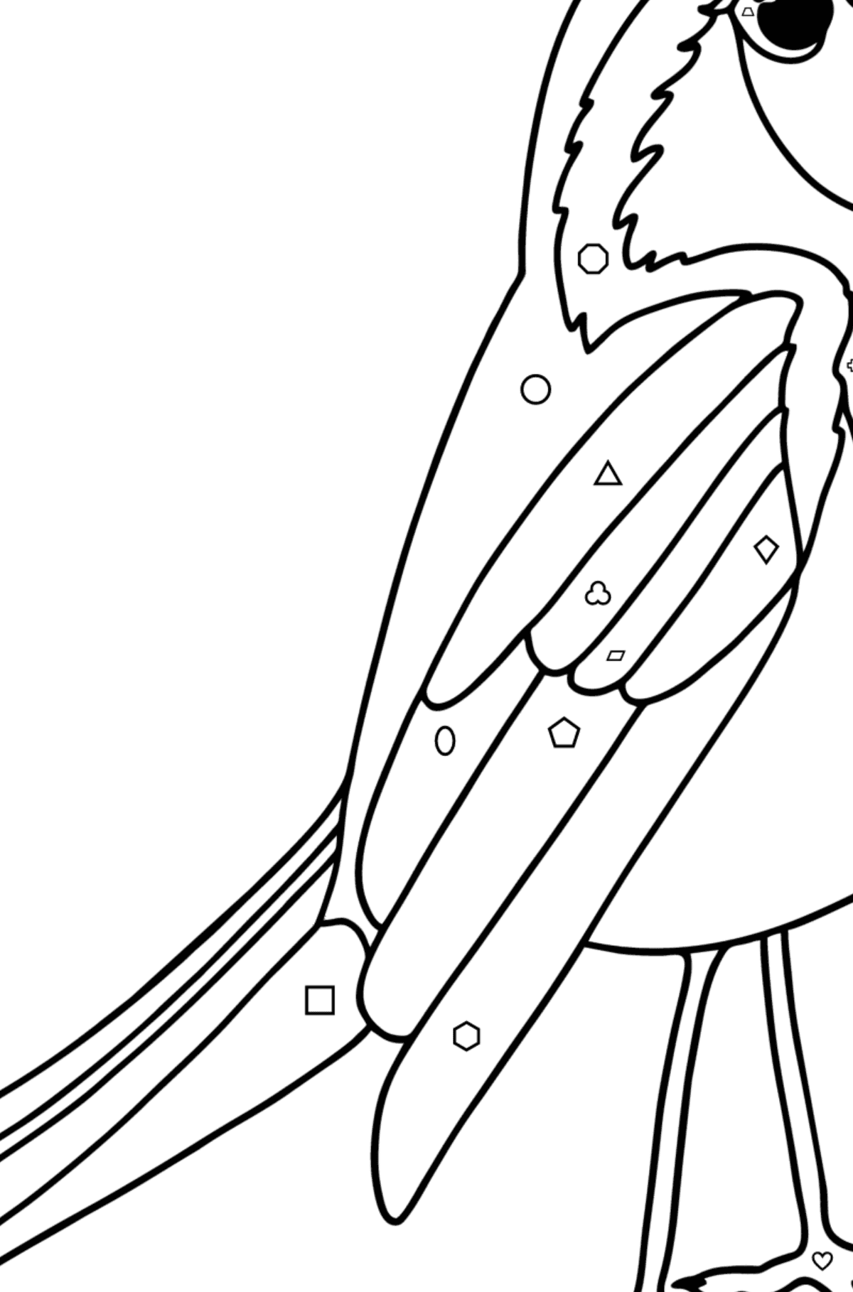 Раскраска Птица Зяблик - Картинка высокого качества для Детей