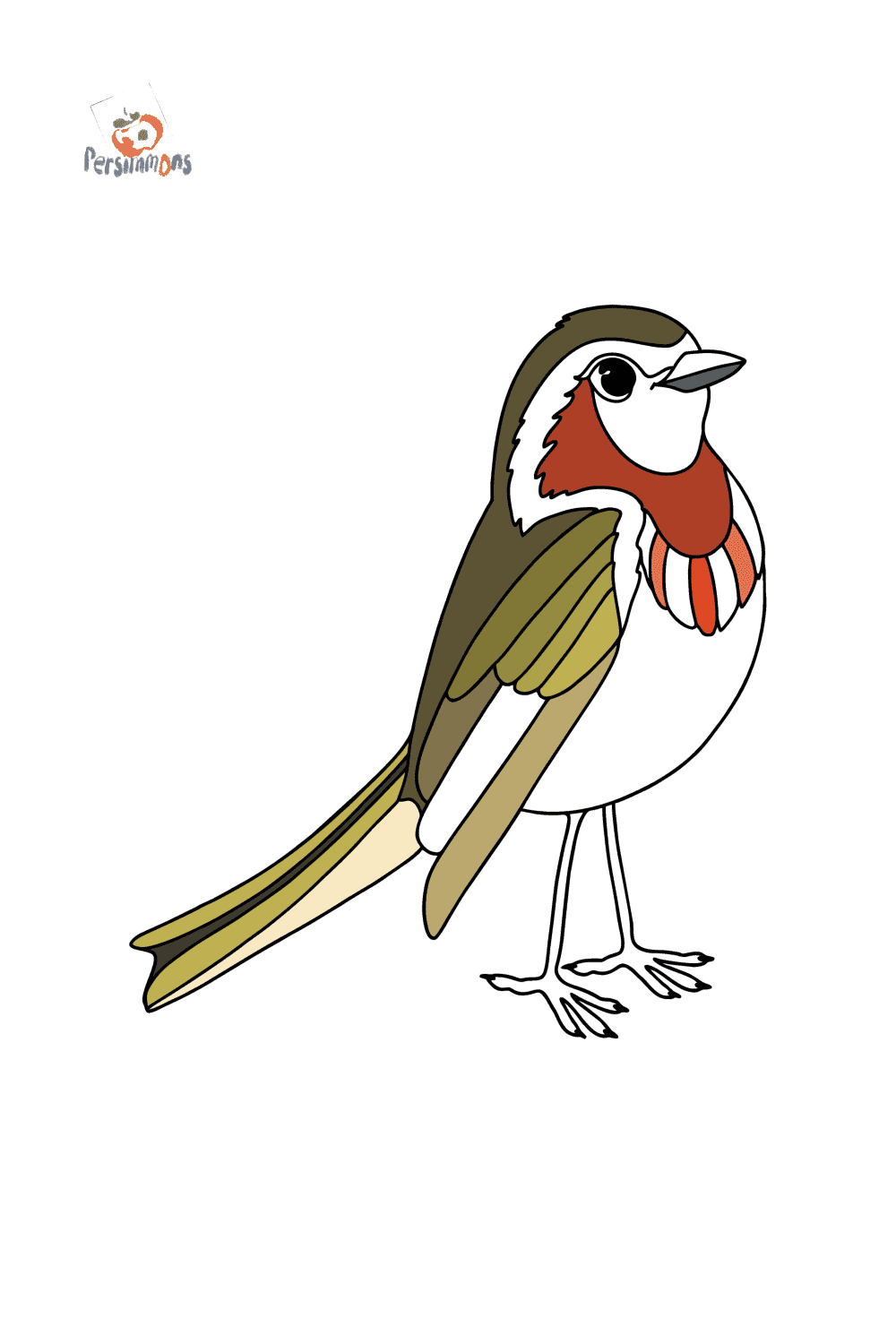 Bird finch сoloring page ♥ Online and Print for Free!