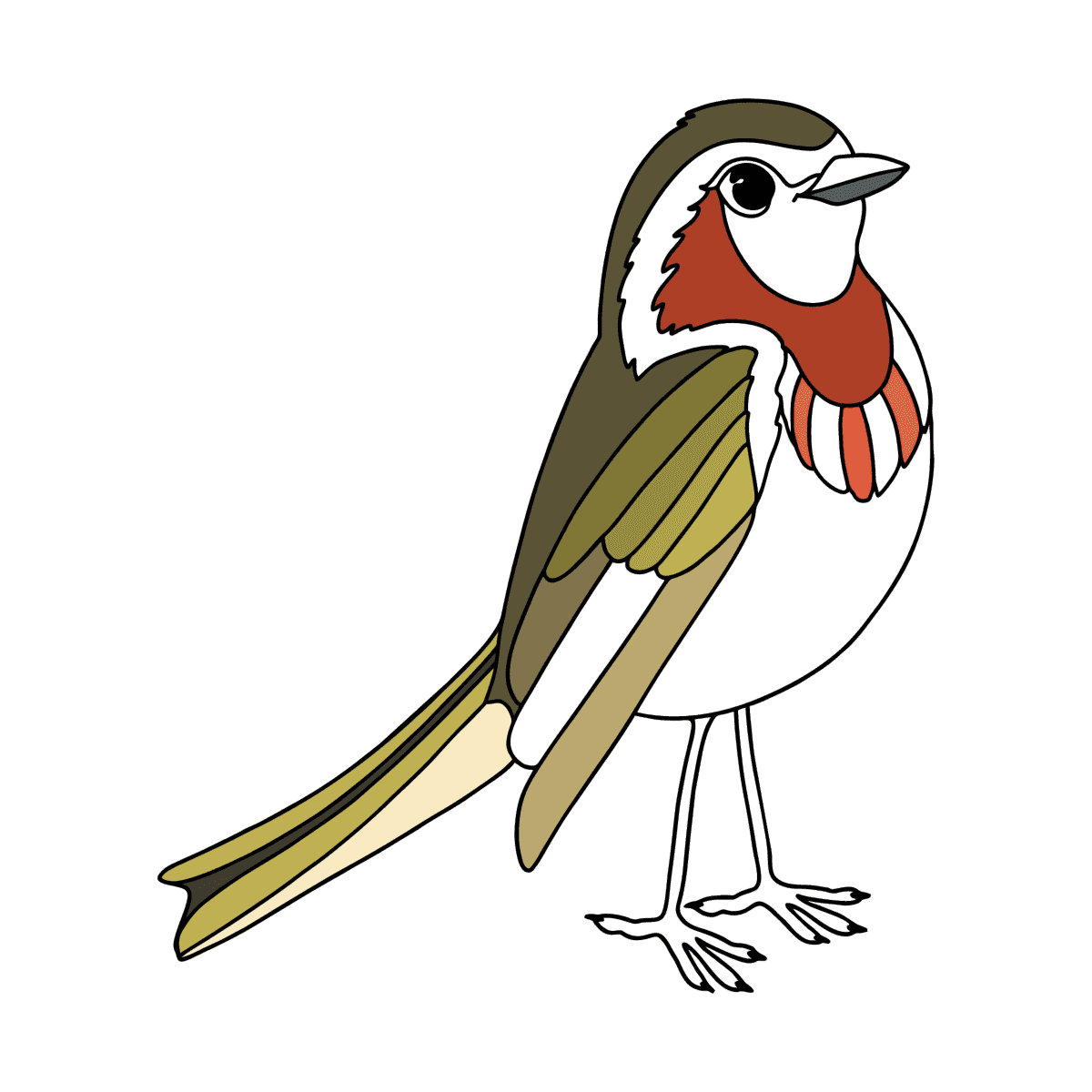 Bird finch сoloring page ♥ Online and Print for Free!