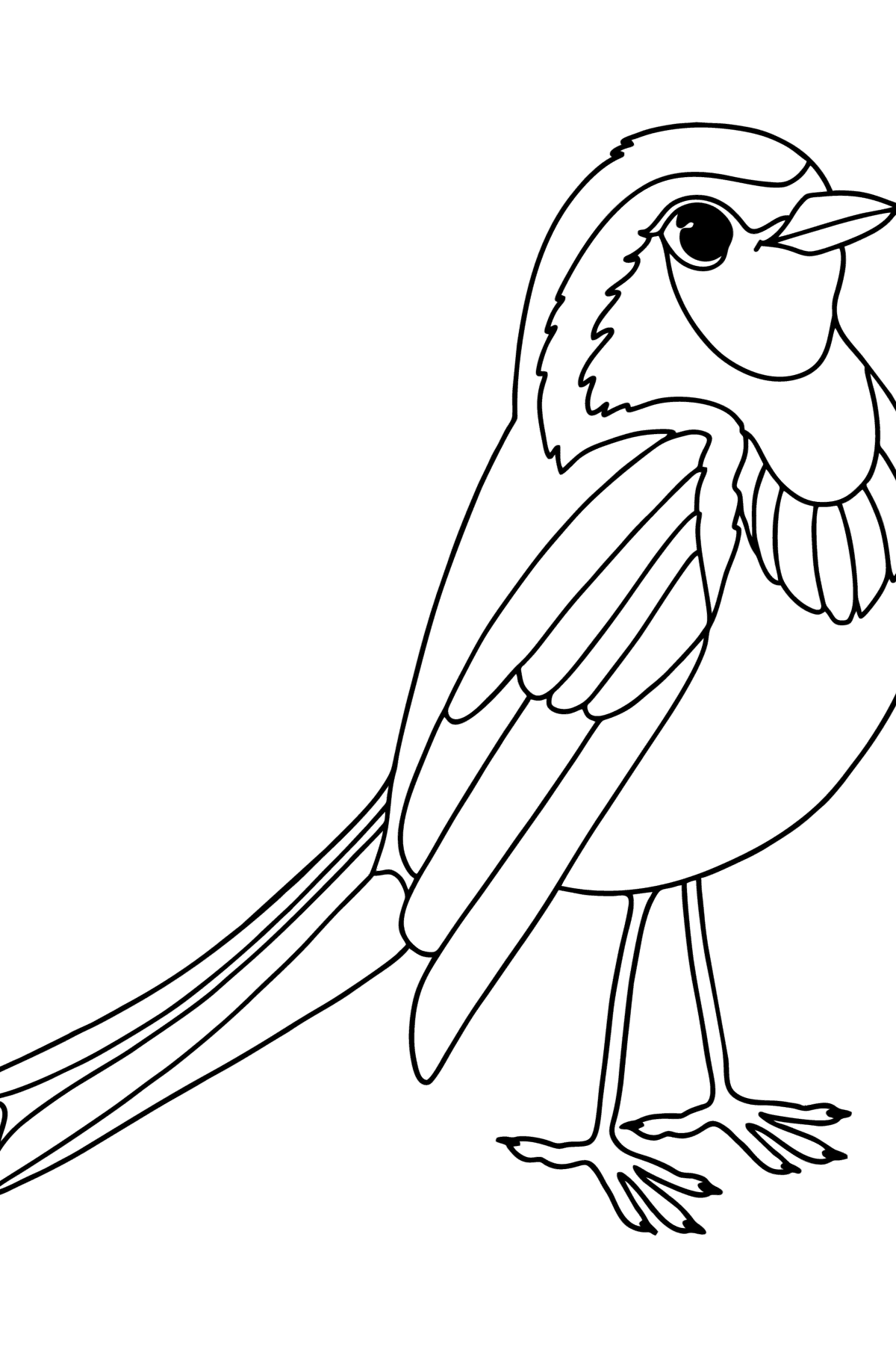 Bird finch сoloring page - Coloring Pages for Kids