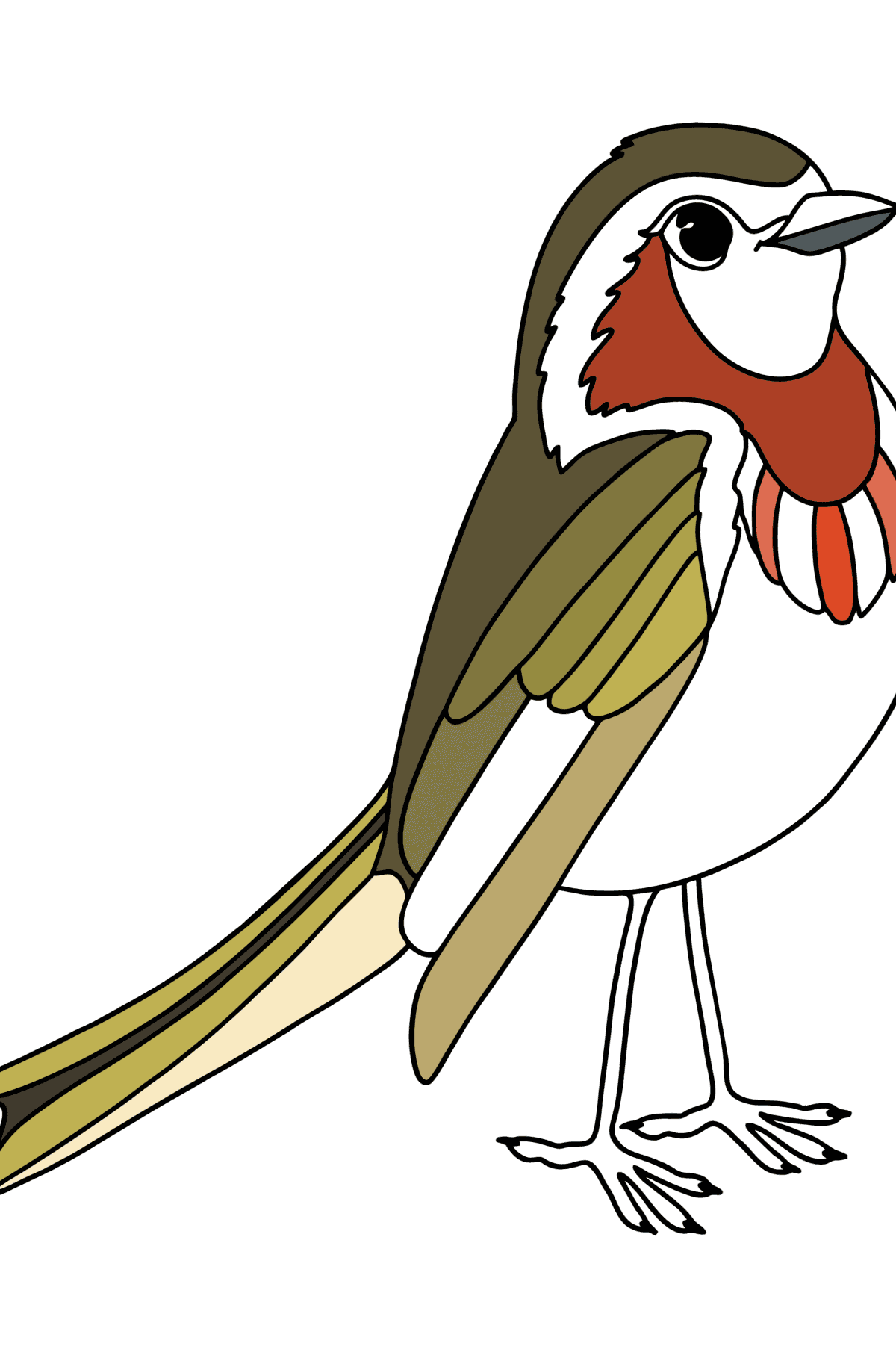 Раскраска Птица Зяблик - Картинки для Детей