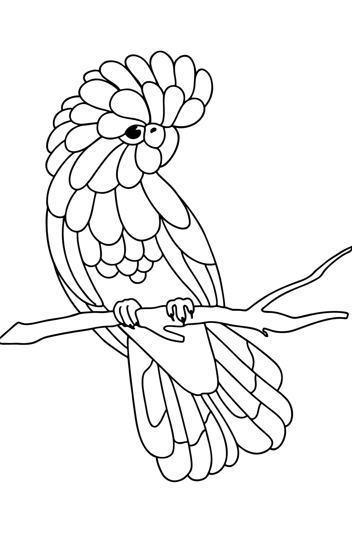 Black cockatoo сoloring page - Coloring Pages for Kids