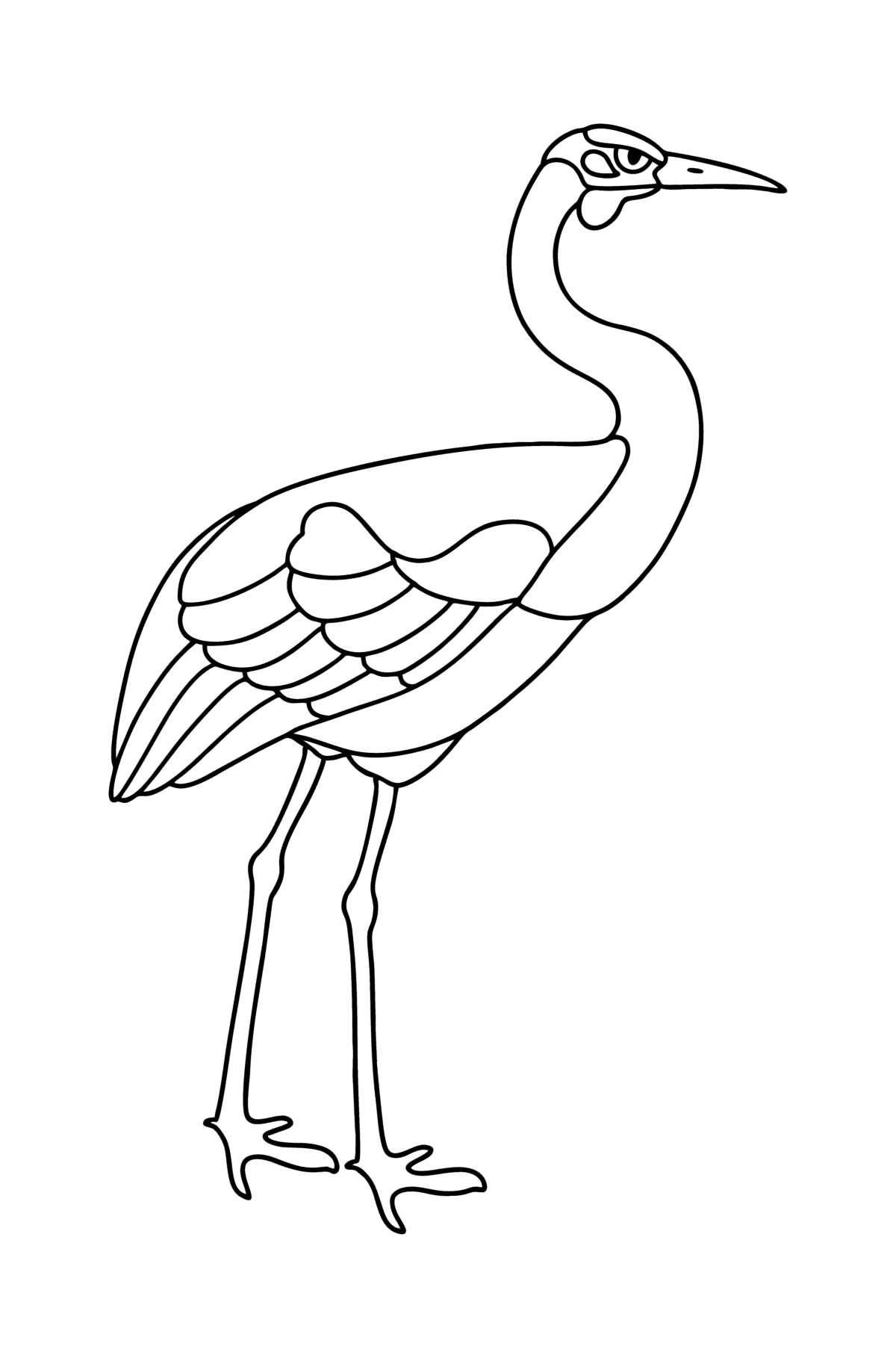 Brolga bird сolouring page - Coloring Pages for Kids