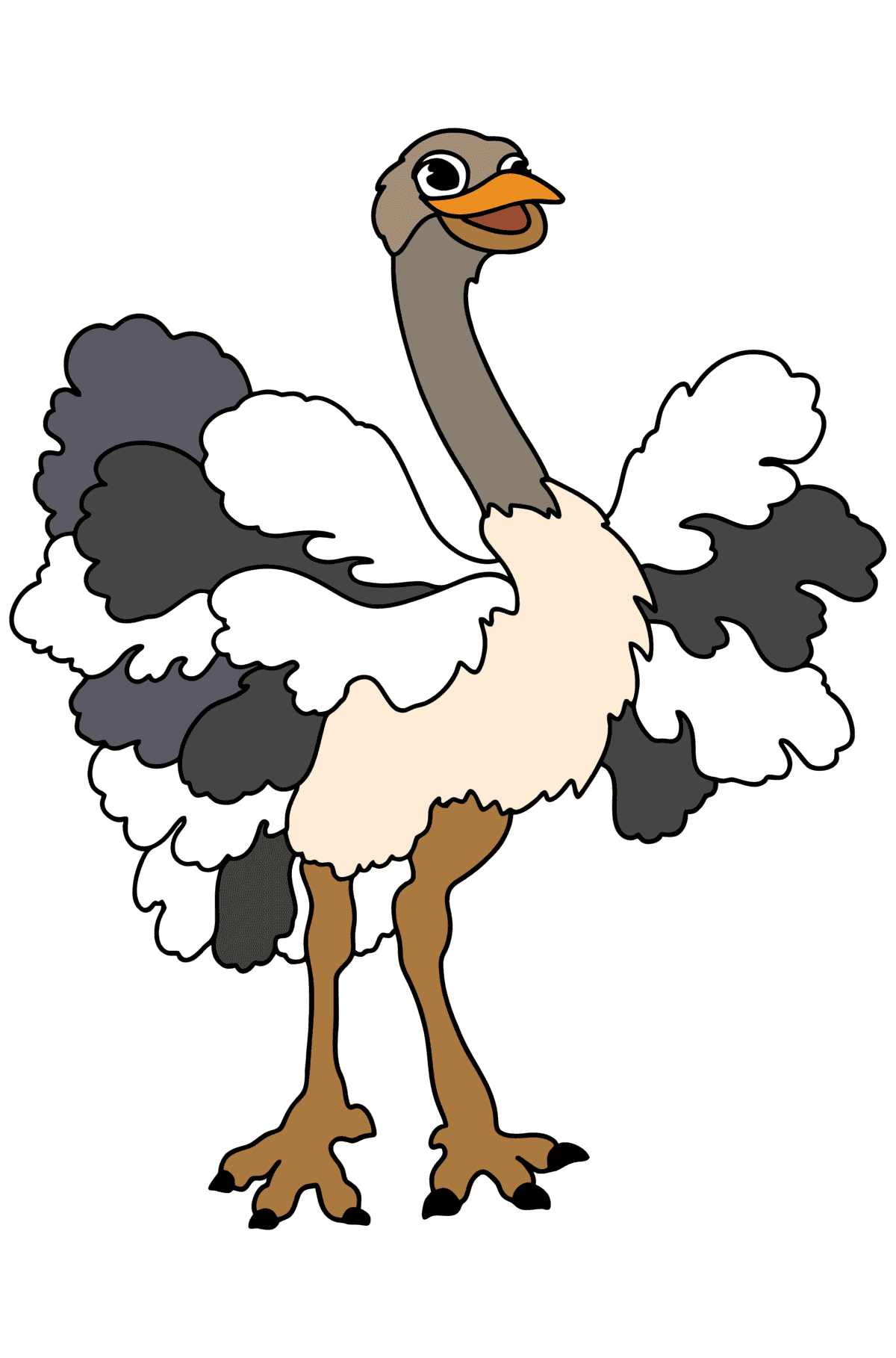Emu сoloring page - Coloring Pages for Kids