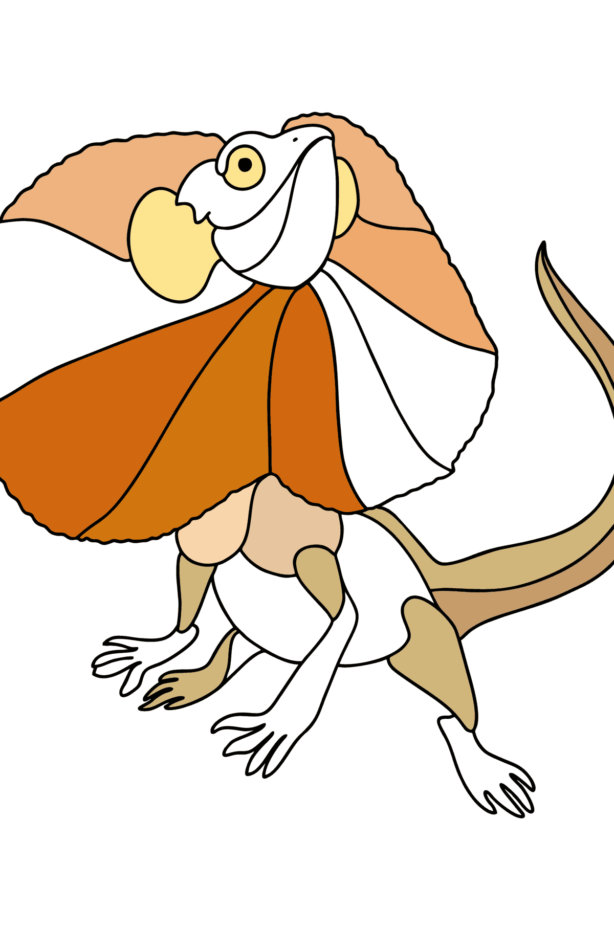 Frilled lizard сolouring page - Coloring Pages for Kids