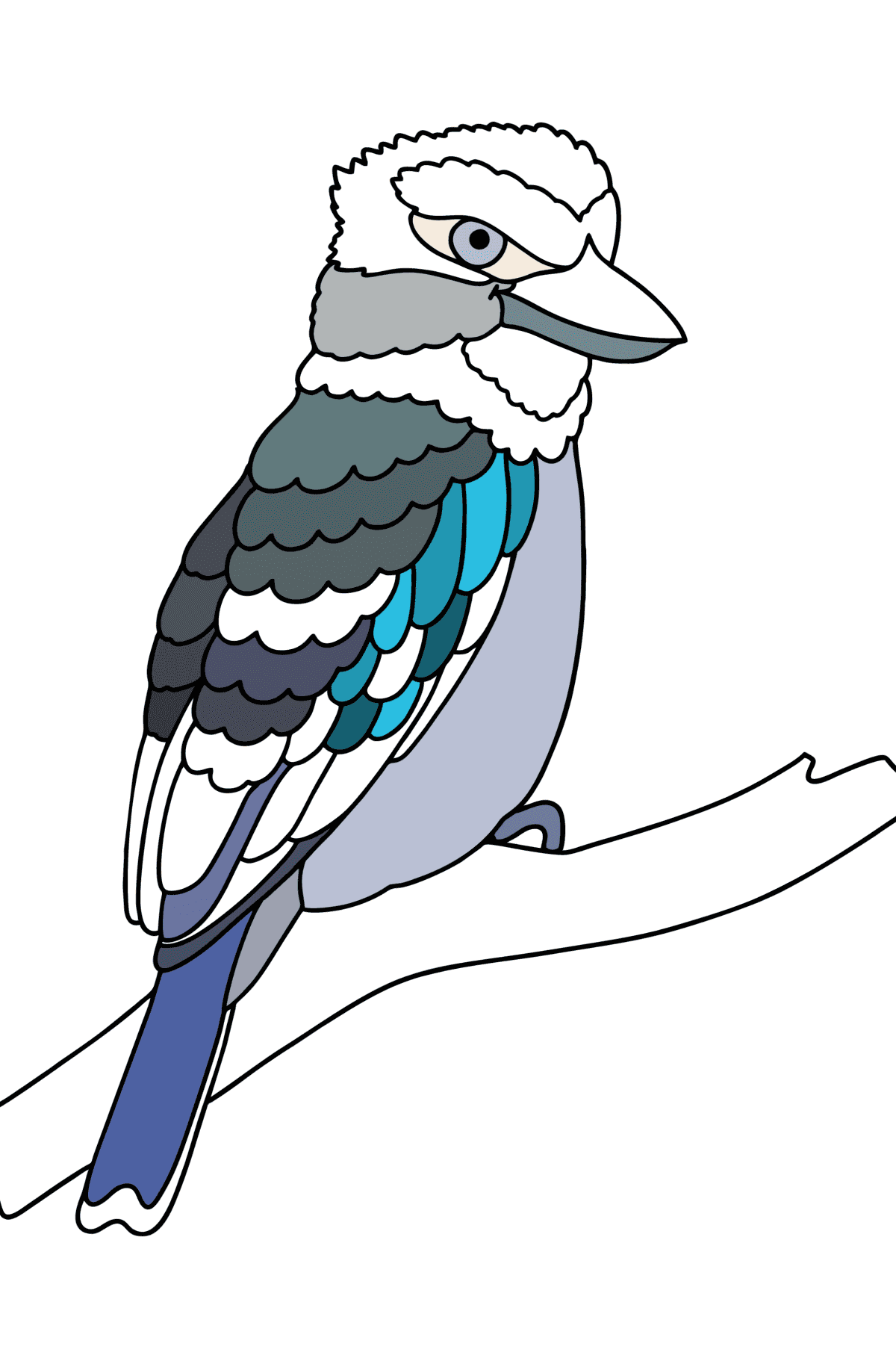 Desenho Kookaburra para colorir - Imagens para Colorir para Crianças
