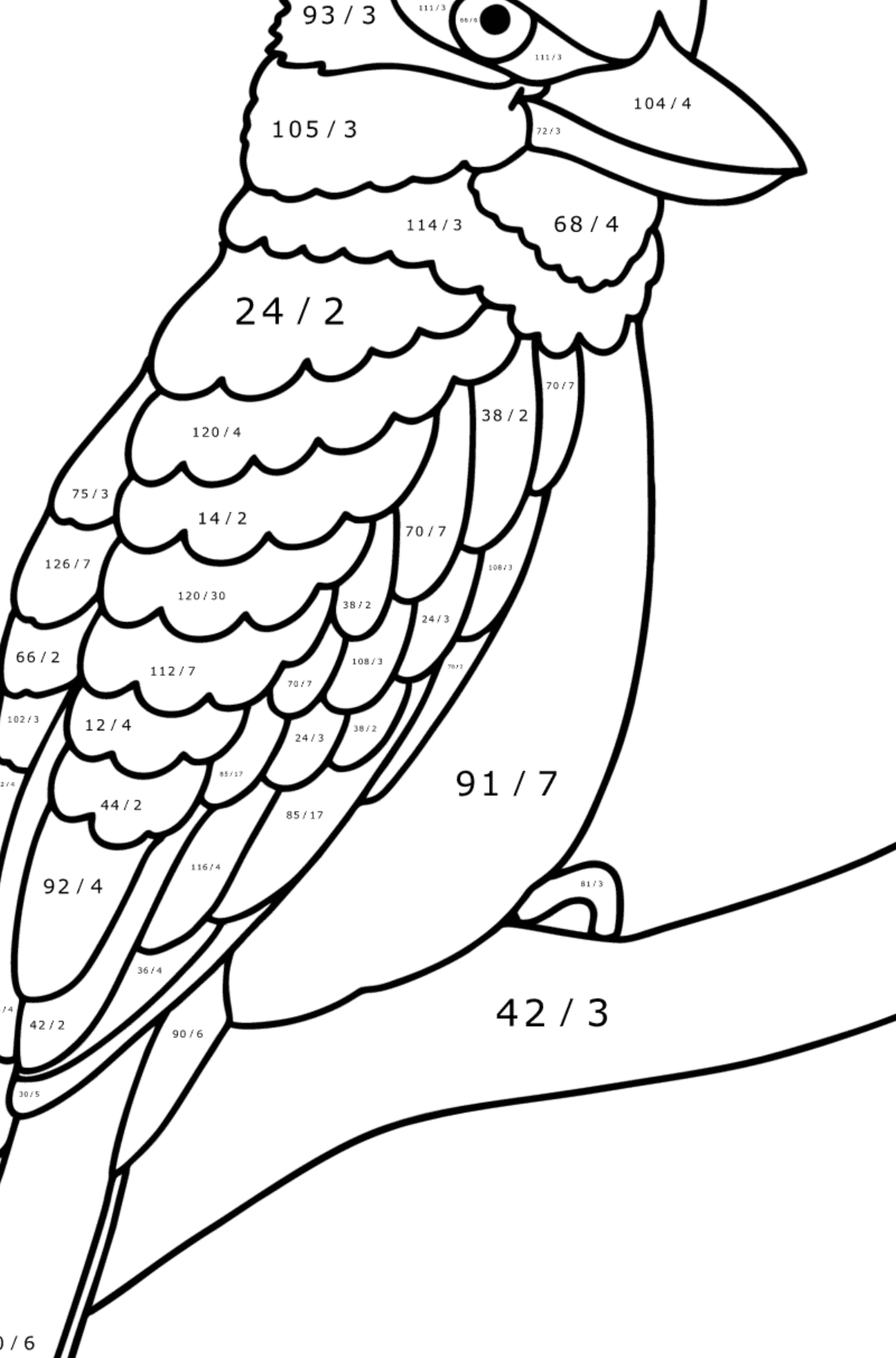 Värityskuva Kookaburra - Matemaattinen Värityslasku - Jakolasku lapsille
