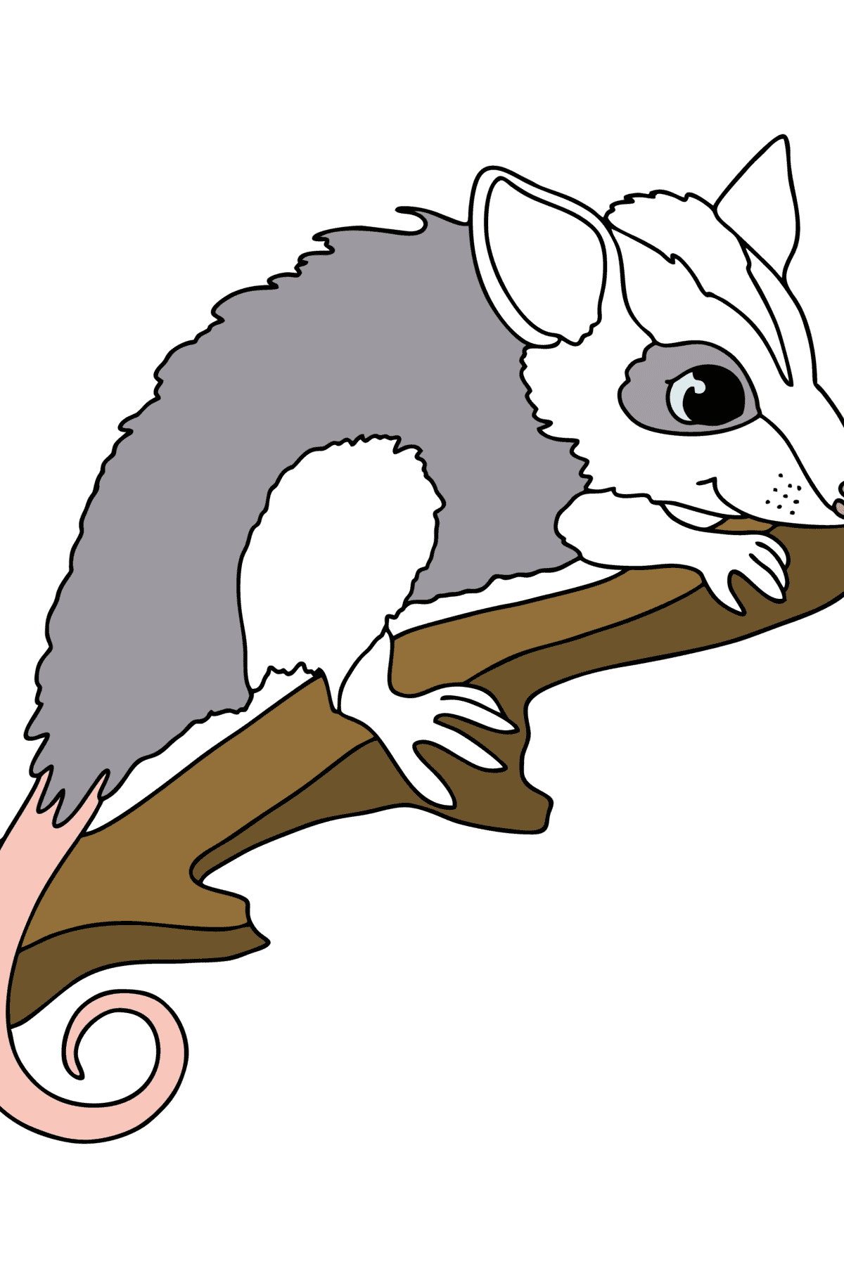 Värityskuva Opossum - Värityskuvat lapsille