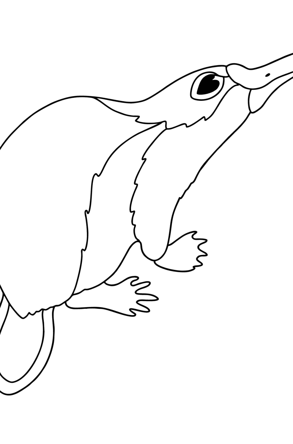 Australian Animals Coloring pages - Download, Print, and Online!