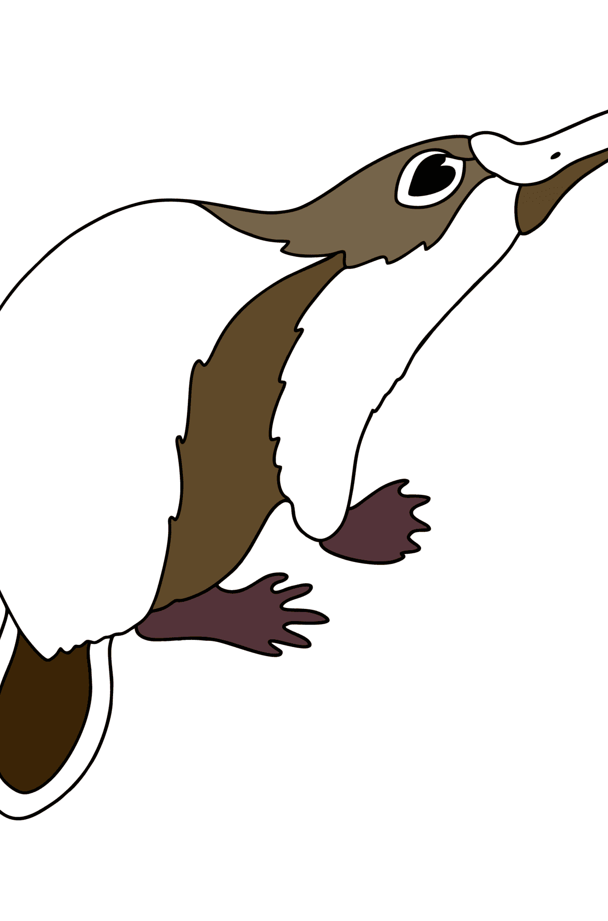 Platypus Australia сoloring page - Coloring Pages for Kids