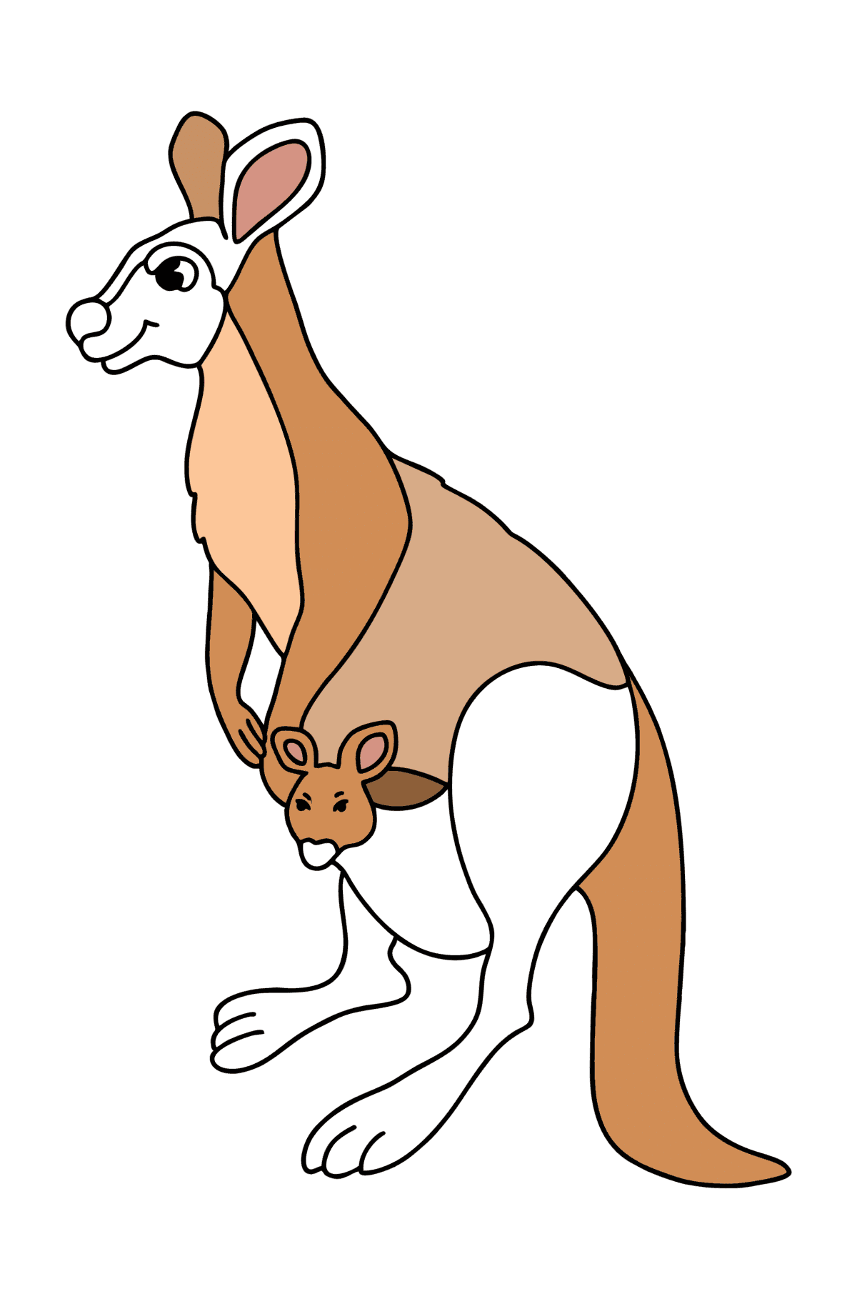 Red kangaroo сoloring page - Coloring Pages for Kids