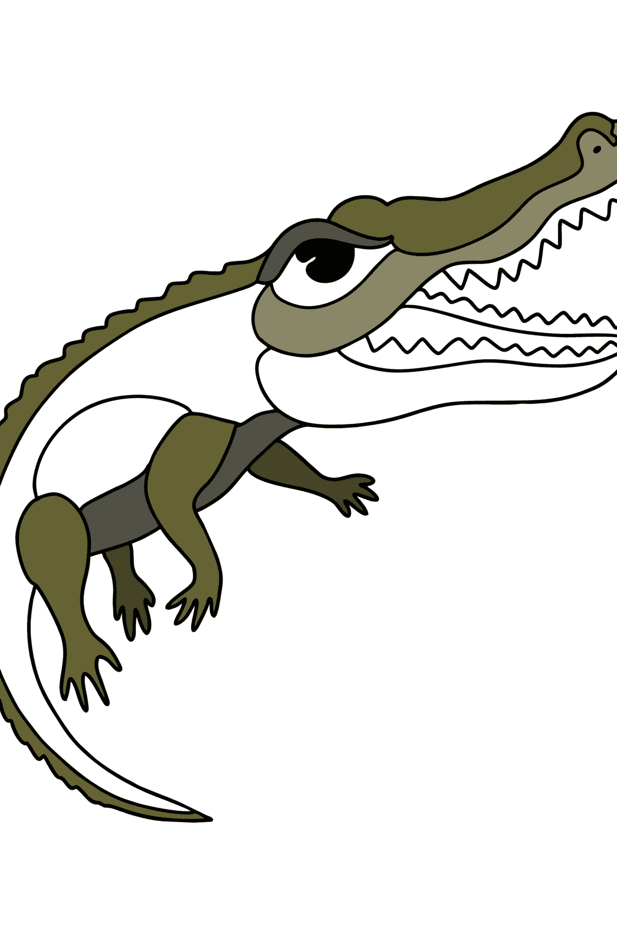Desenho Crocodilo de água salgada para colorir - Imagens para Colorir para Crianças