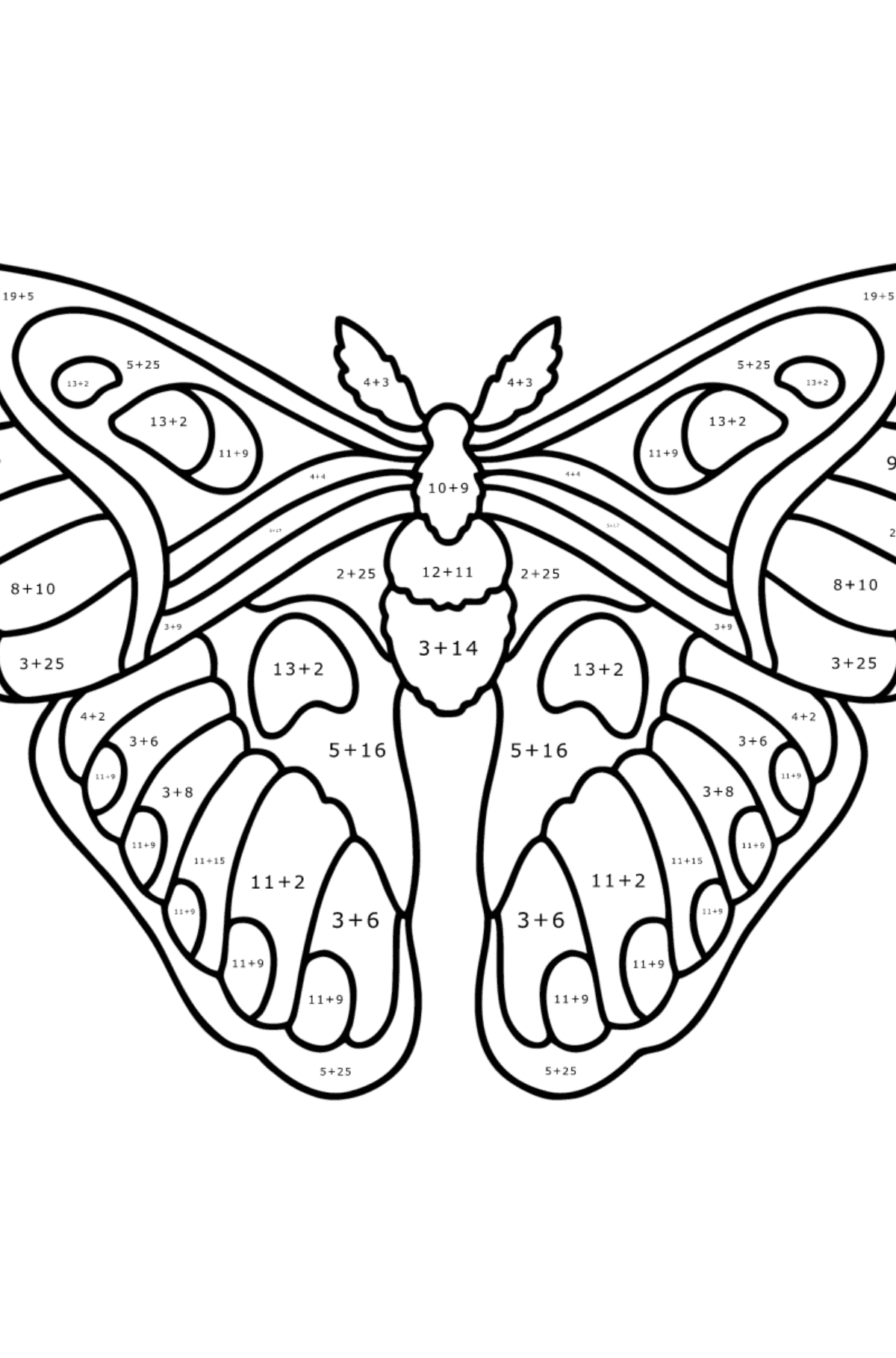 Раскраска Атласная Бабочка Павлиноглазка Атлас - На Сложение для Детей