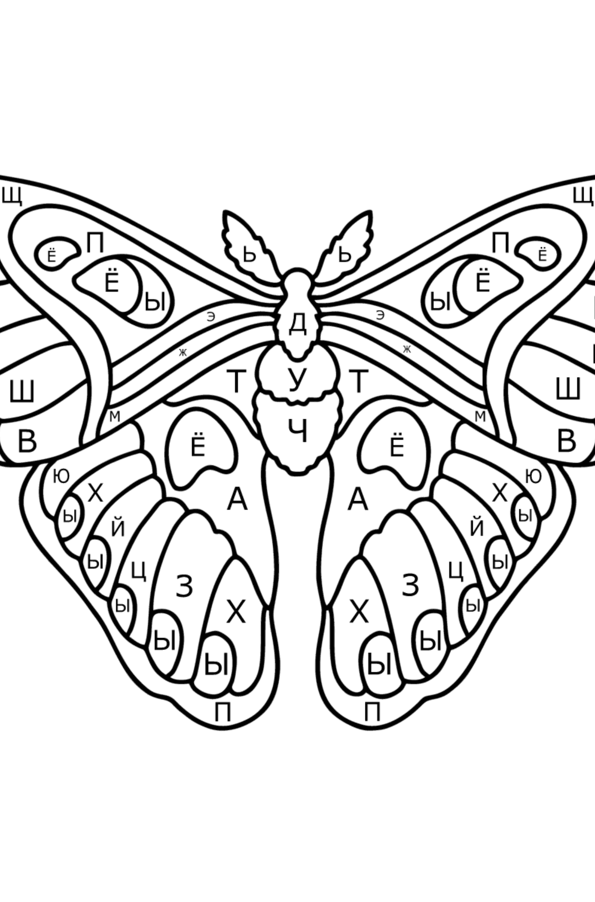 Раскраска Атласная Бабочка Павлиноглазка Атлас - По Буквам для Детей