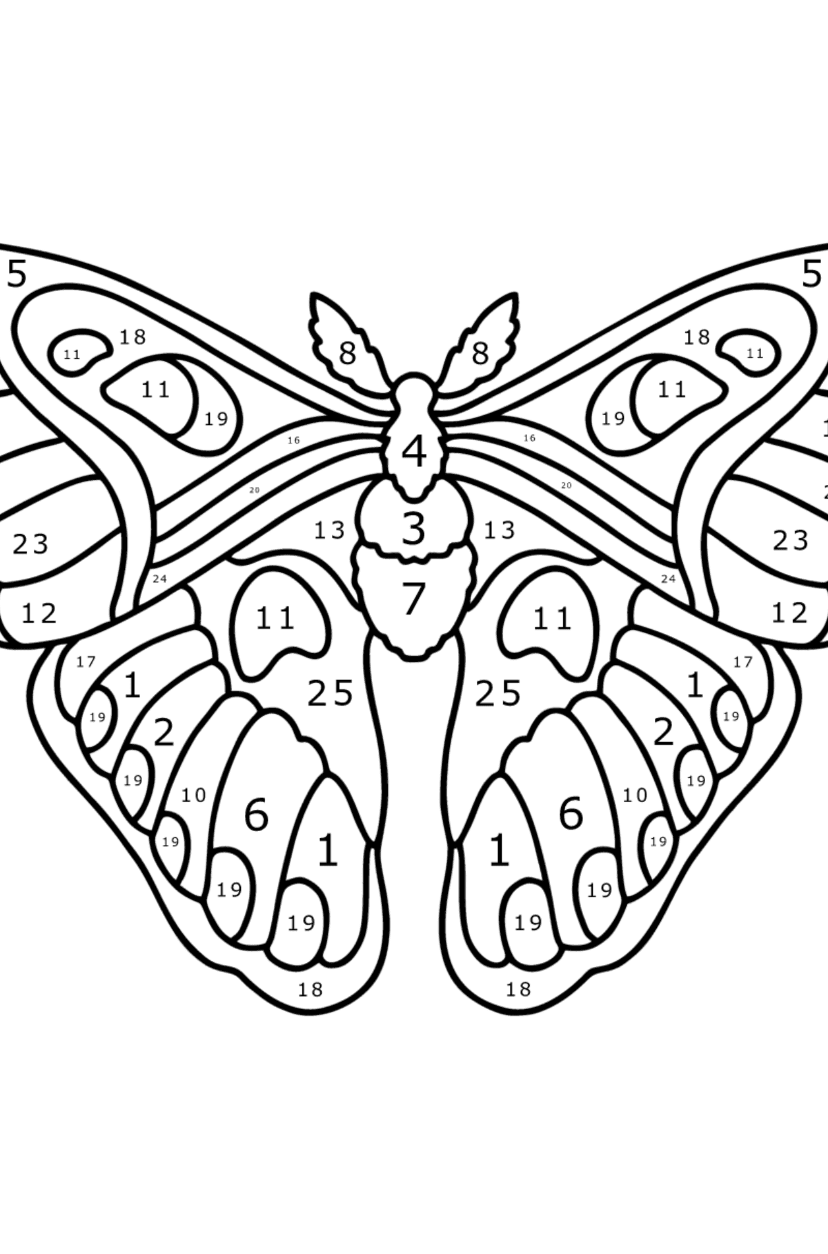 Раскраска Атласная Бабочка Павлиноглазка Атлас - По Номерам для Детей