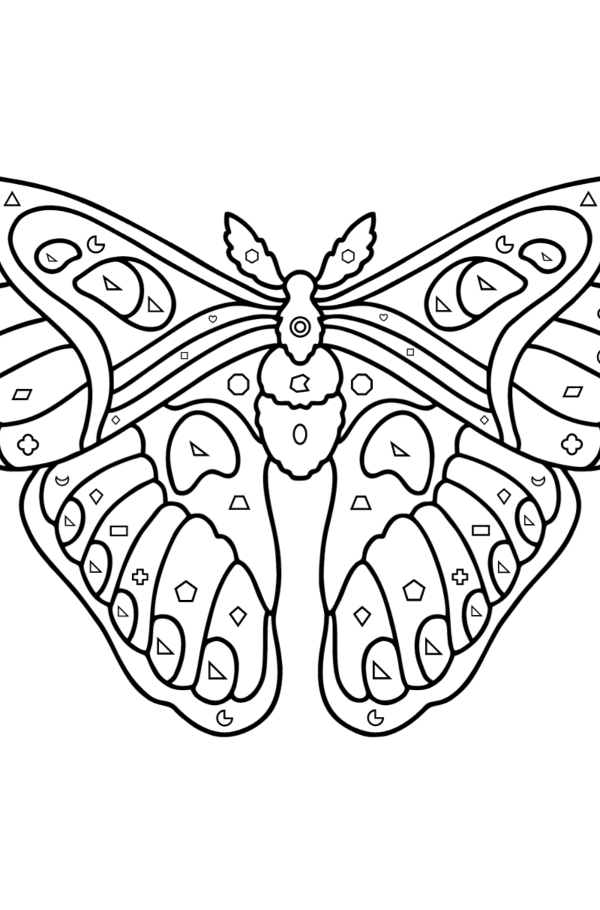 Раскраска Атласная Бабочка Павлиноглазка Атлас - Картинка высокого качества для Детей