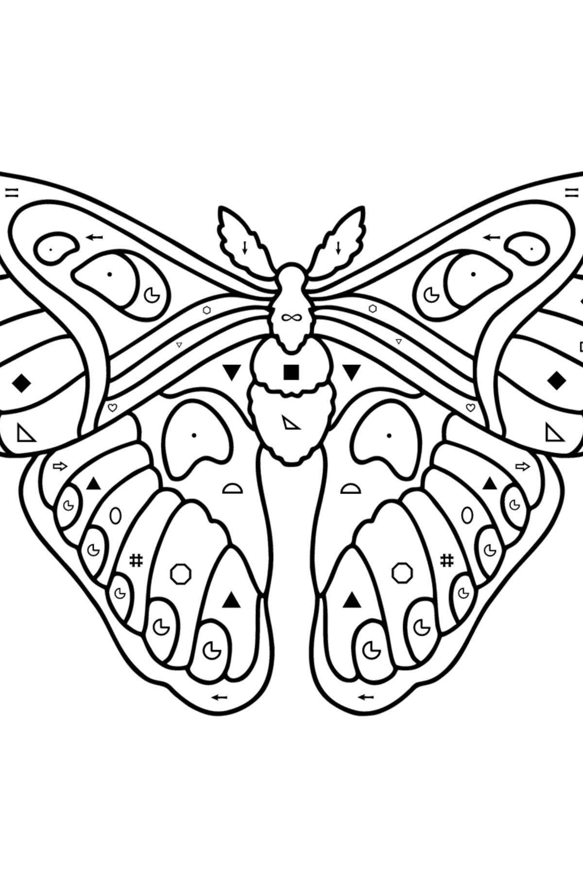 Раскраска Атласная Бабочка Павлиноглазка Атлас - Полезная картинка для Детей