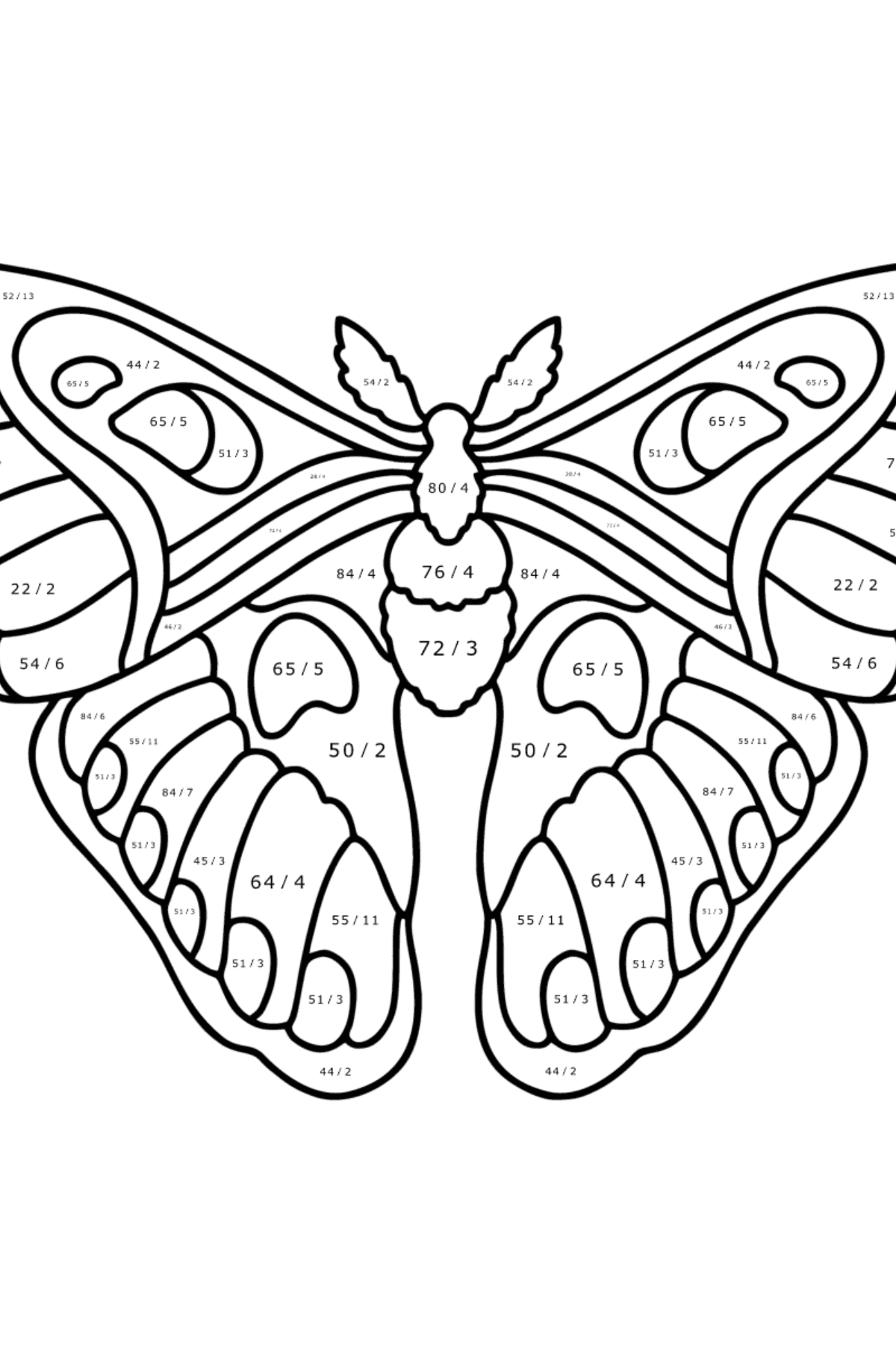 Раскраска Атласная Бабочка Павлиноглазка Атлас - На Деление для Детей