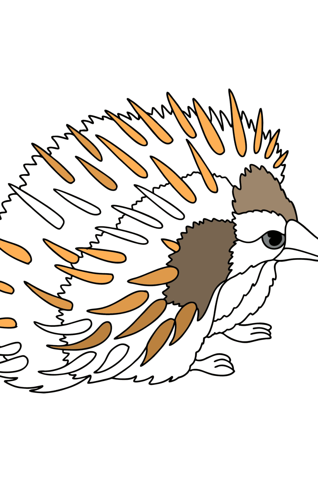 Freshwater crocodile Australia сoloring page ♥ Online and Print