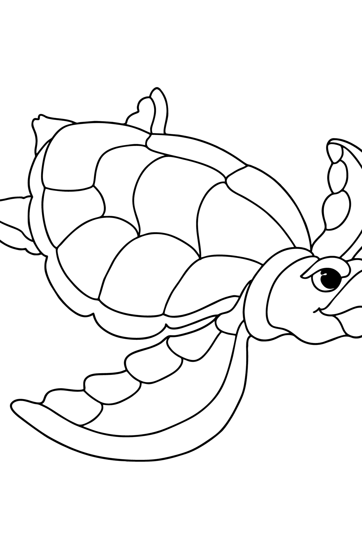 Раскраска Морская Черепаха Австралия - Картинки для Детей