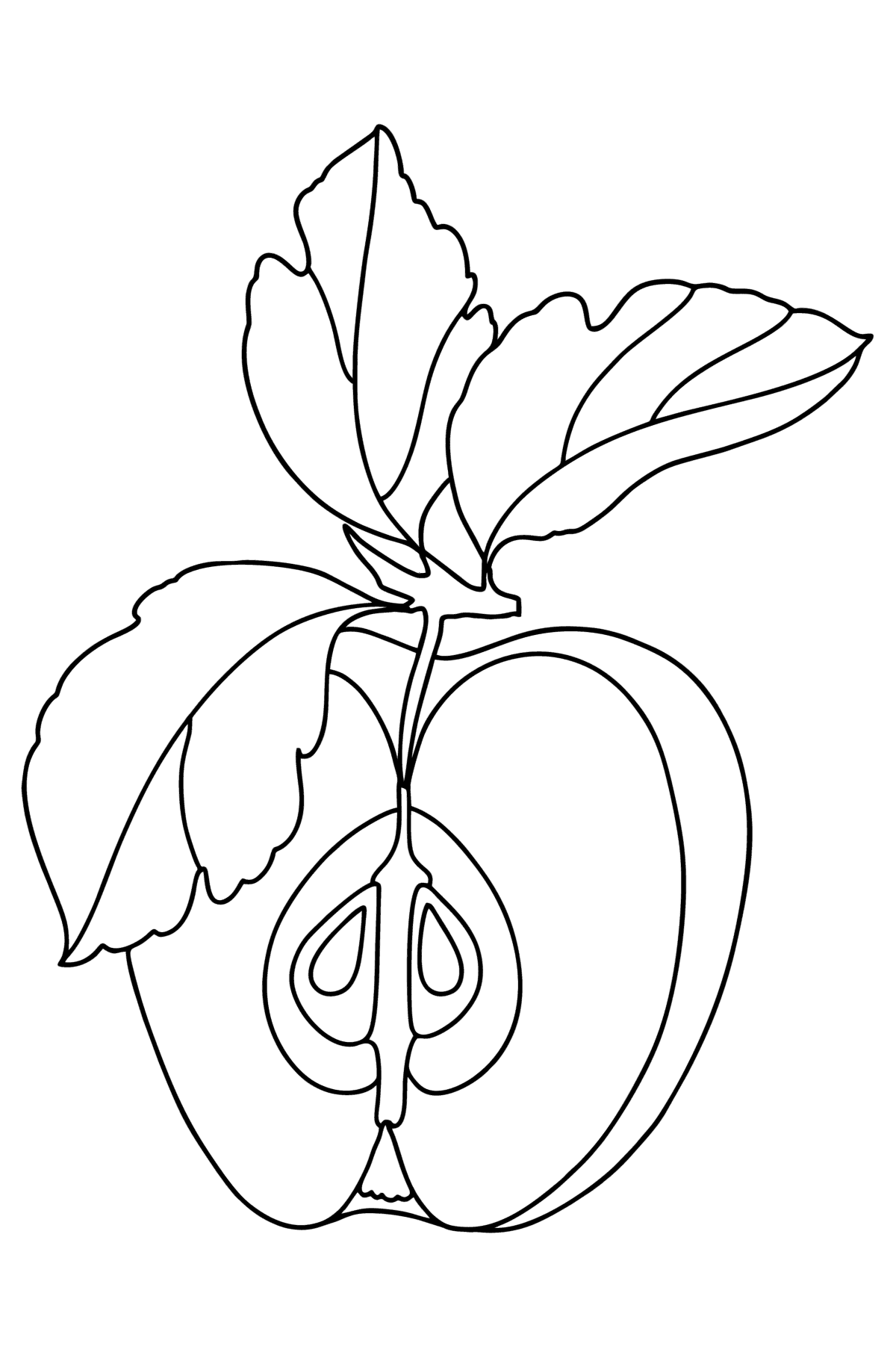 Tegning til farvning Et halvt æble - Tegninger til farvelægning for børn