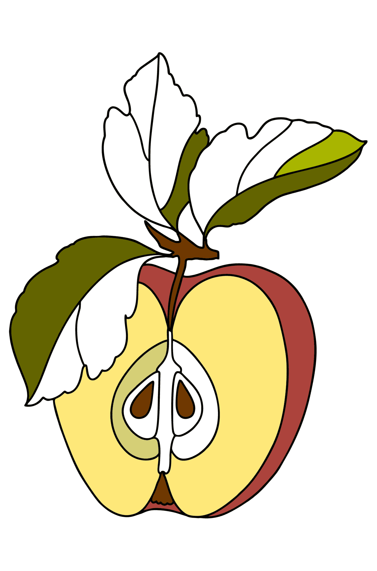 Värityskuva Puolikas omena - Värityskuvat lapsille