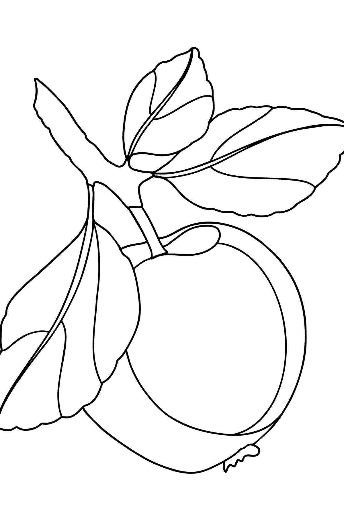 Red Apple сoloring page - Coloring Pages for Kids