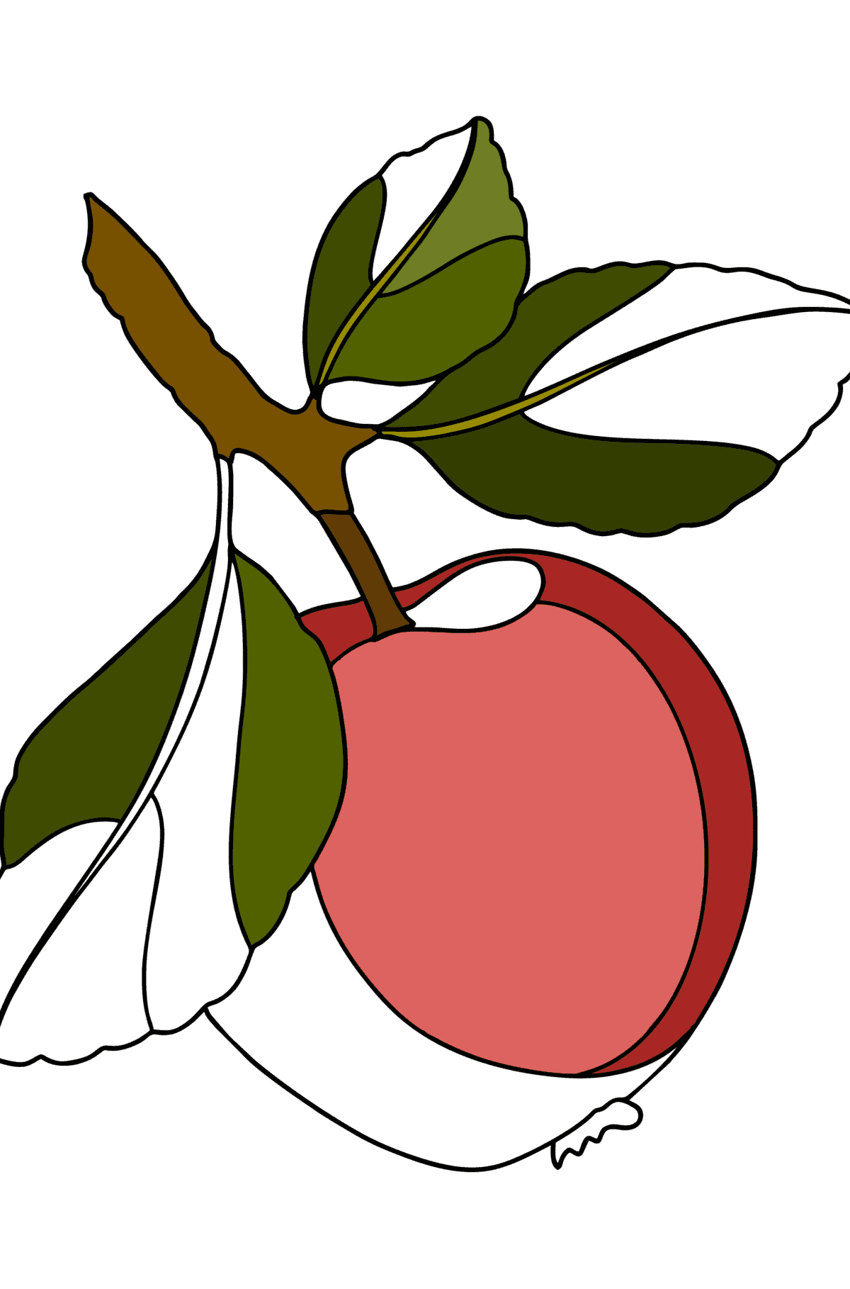 Värityskuva Punainen omena - Värityskuvat lapsille
