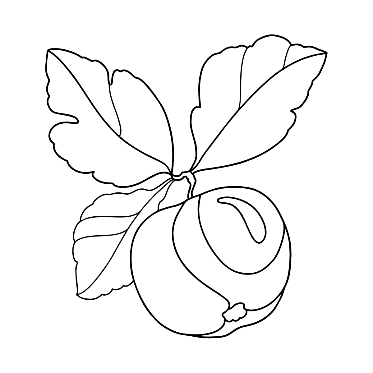 yellow-apple-oloring-page-online-and-print-for-free