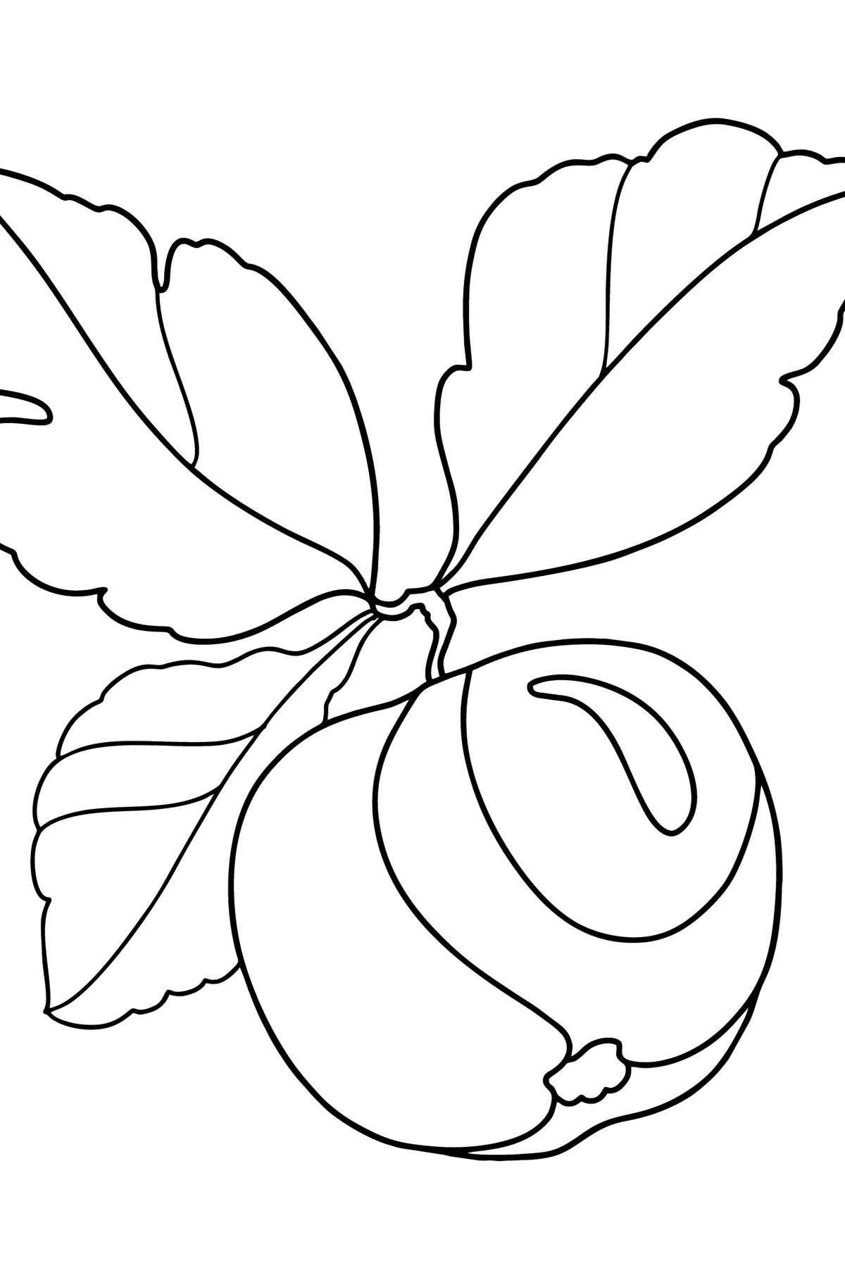 Yellow apple сoloring page - Coloring Pages for Kids