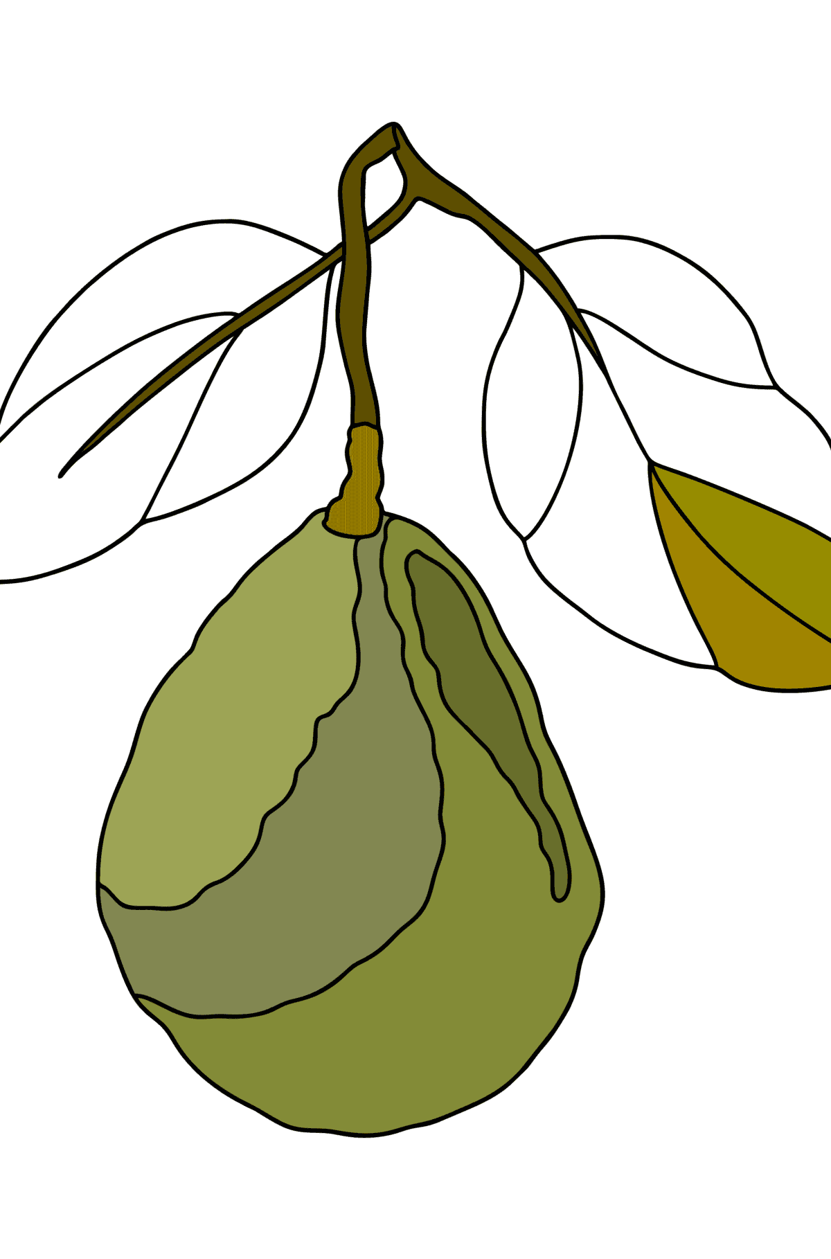 Desenho O abacate cresce para colorir - Desenhos para Colorir para Crianças