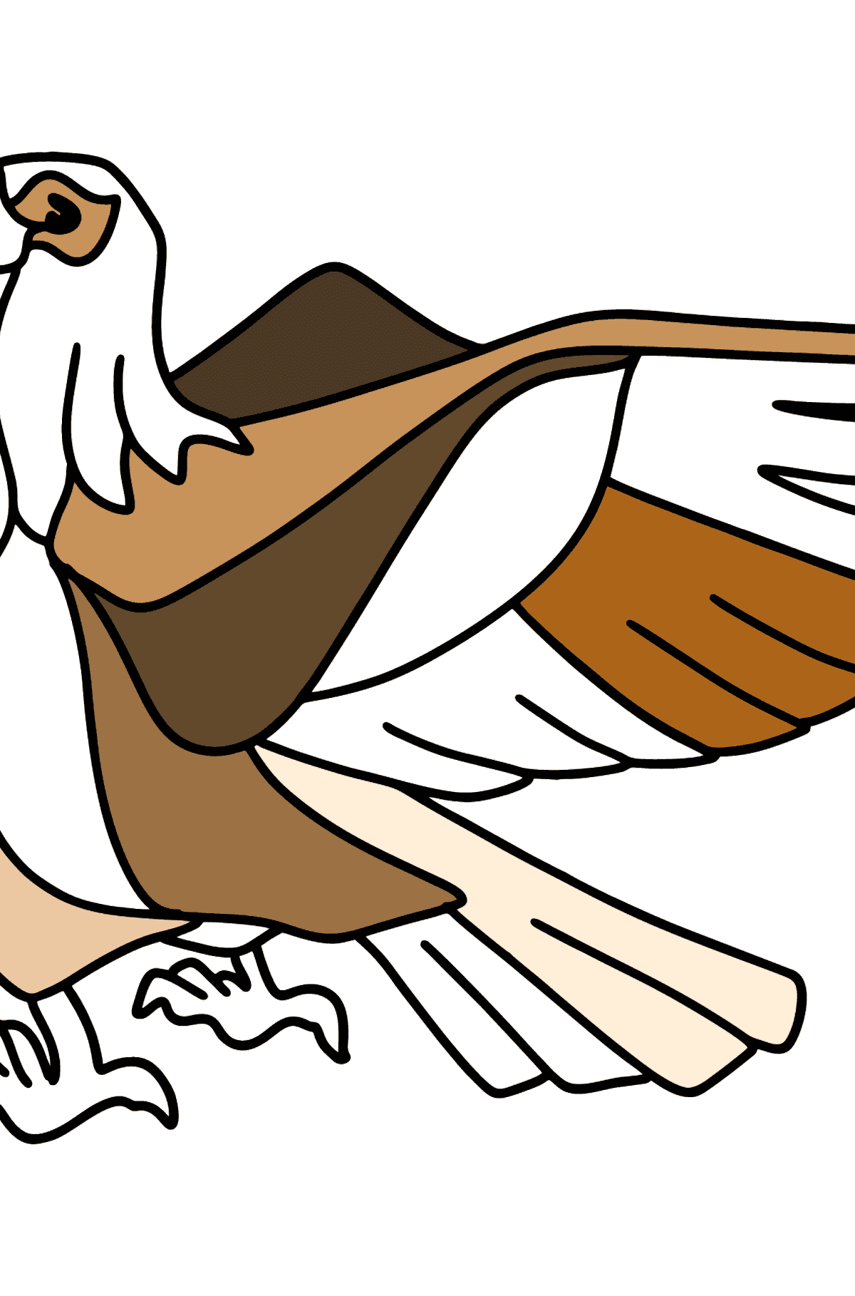 Desenho para colorir linda águia - Imagens para Colorir para Crianças