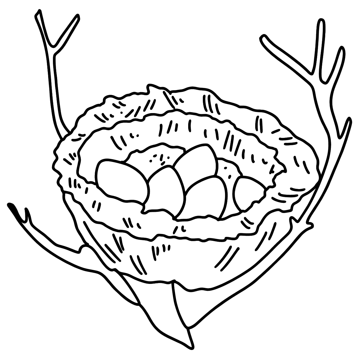Bird's Nest coloring page ♥ Online or Printable for Free!