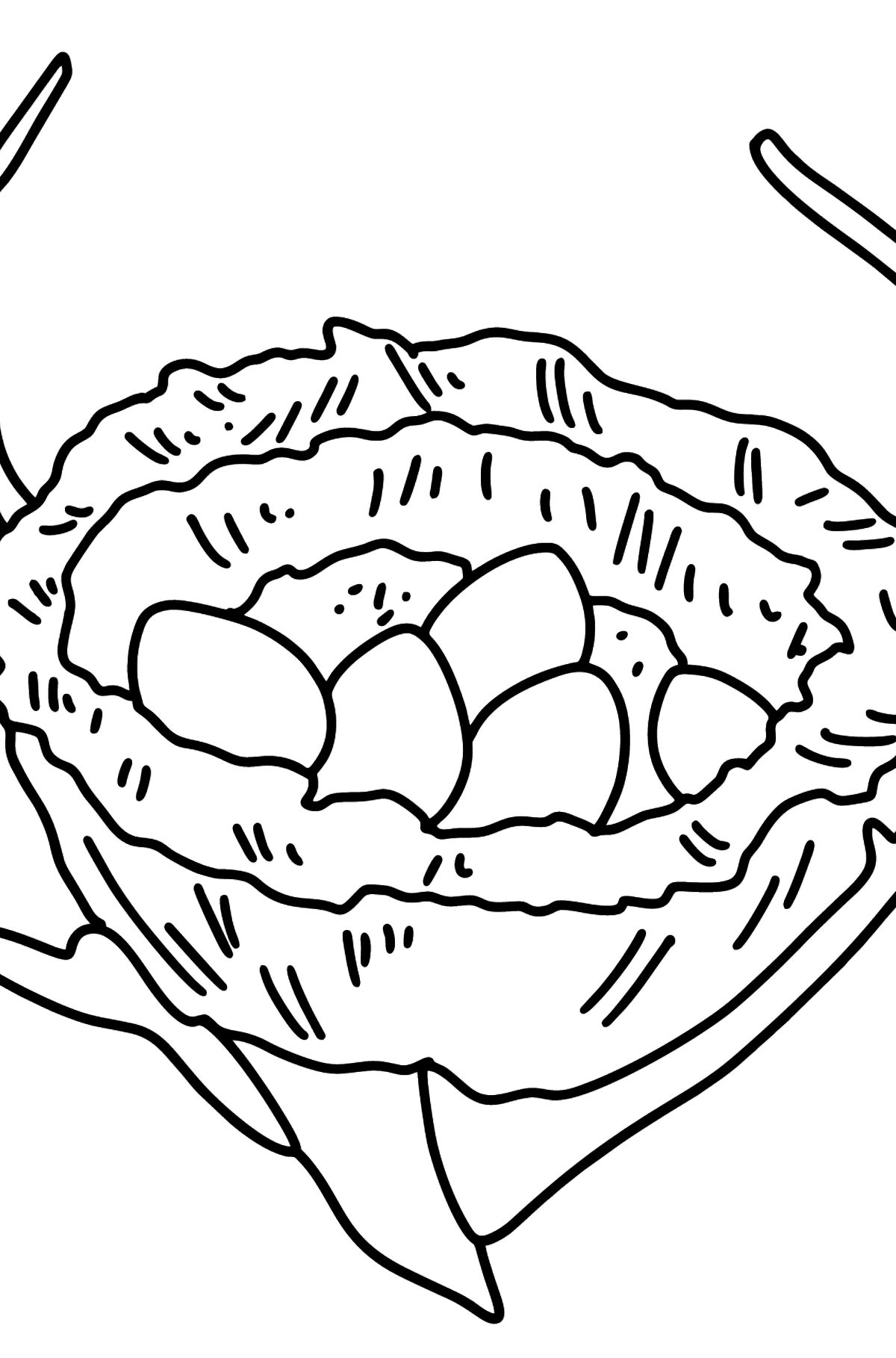Bird's Nest coloring page - Coloring Pages for Kids