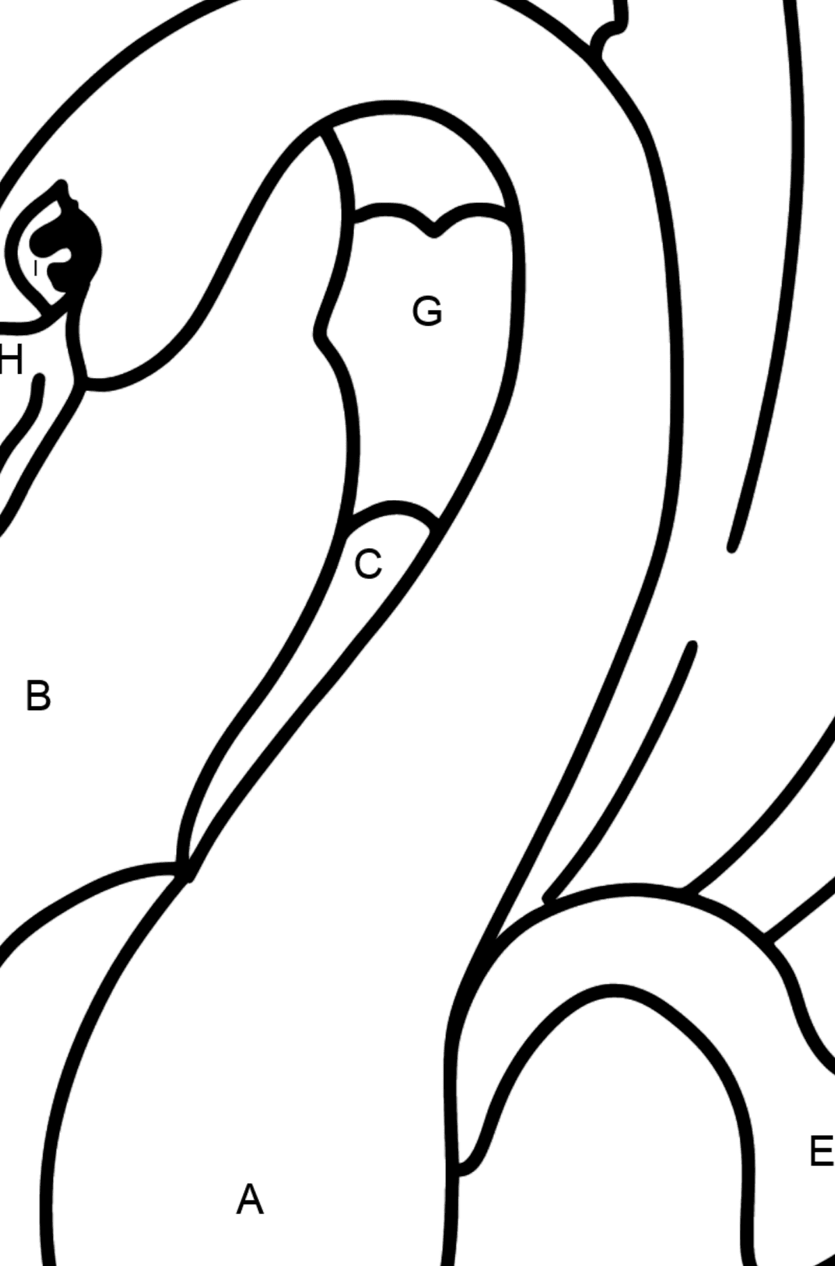 Black Swan coloring page - Coloring by Letters for Kids