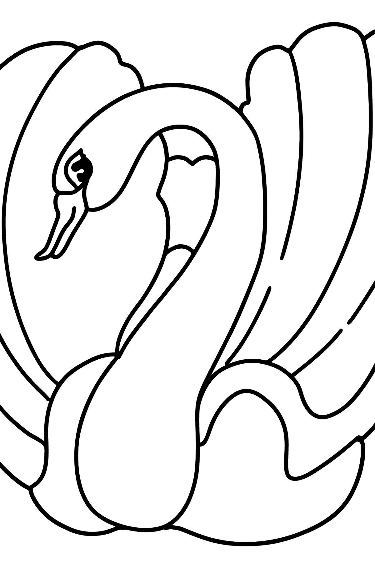 Dibujo de cisne negro para colorear - Dibujos para Colorear para Niños