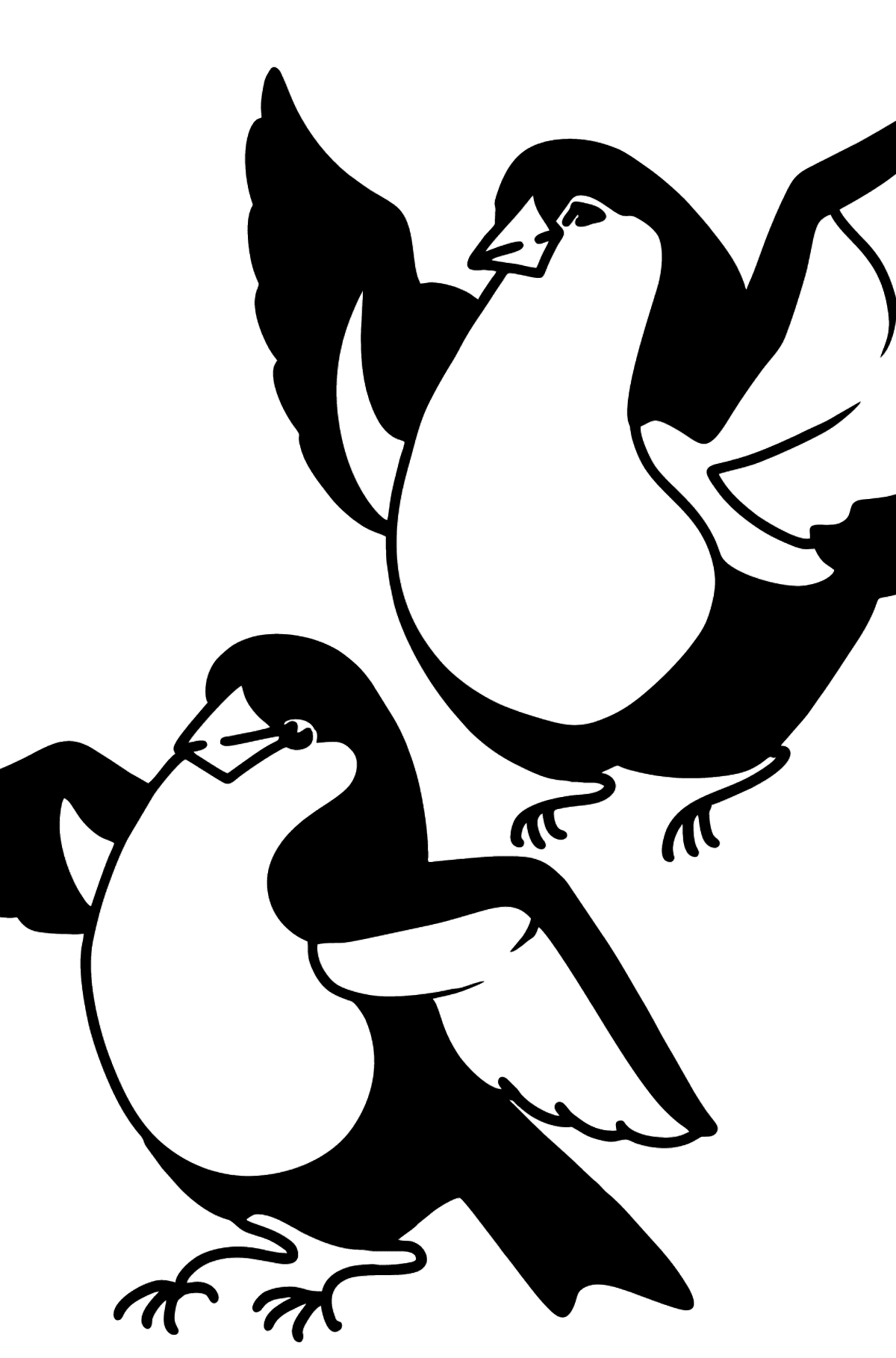 Bullfinches coloring page - Coloring Pages for Kids