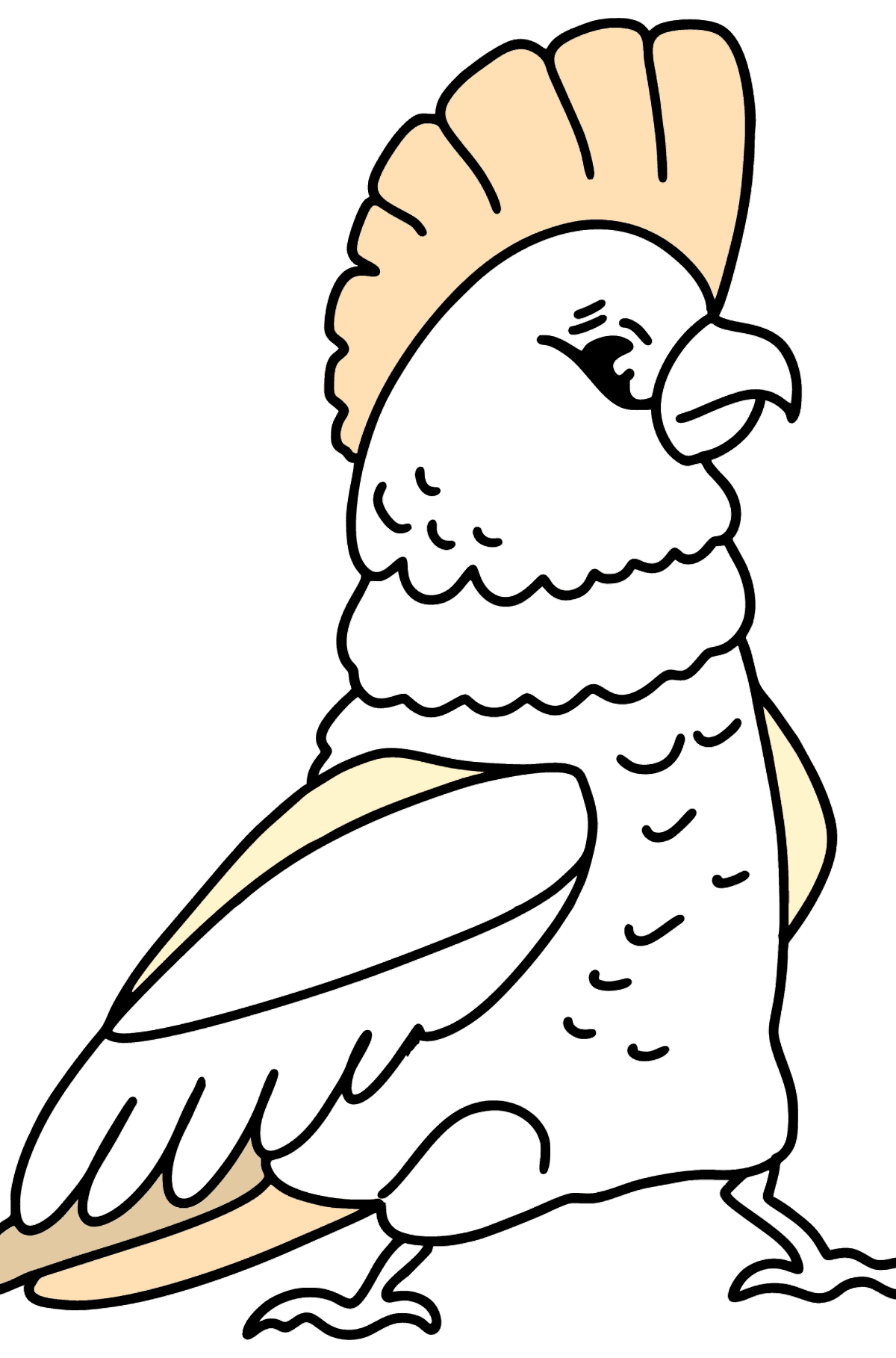 Kakadu omalovánka - Omalovánky pro děti
