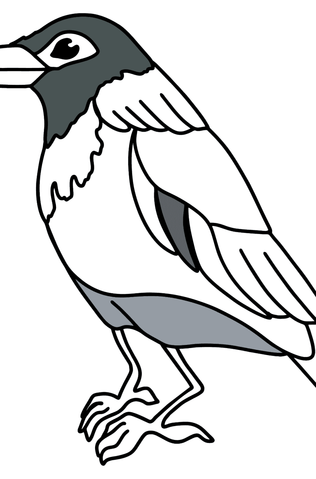 parrot-coloring-page-online-or-printable-for-free