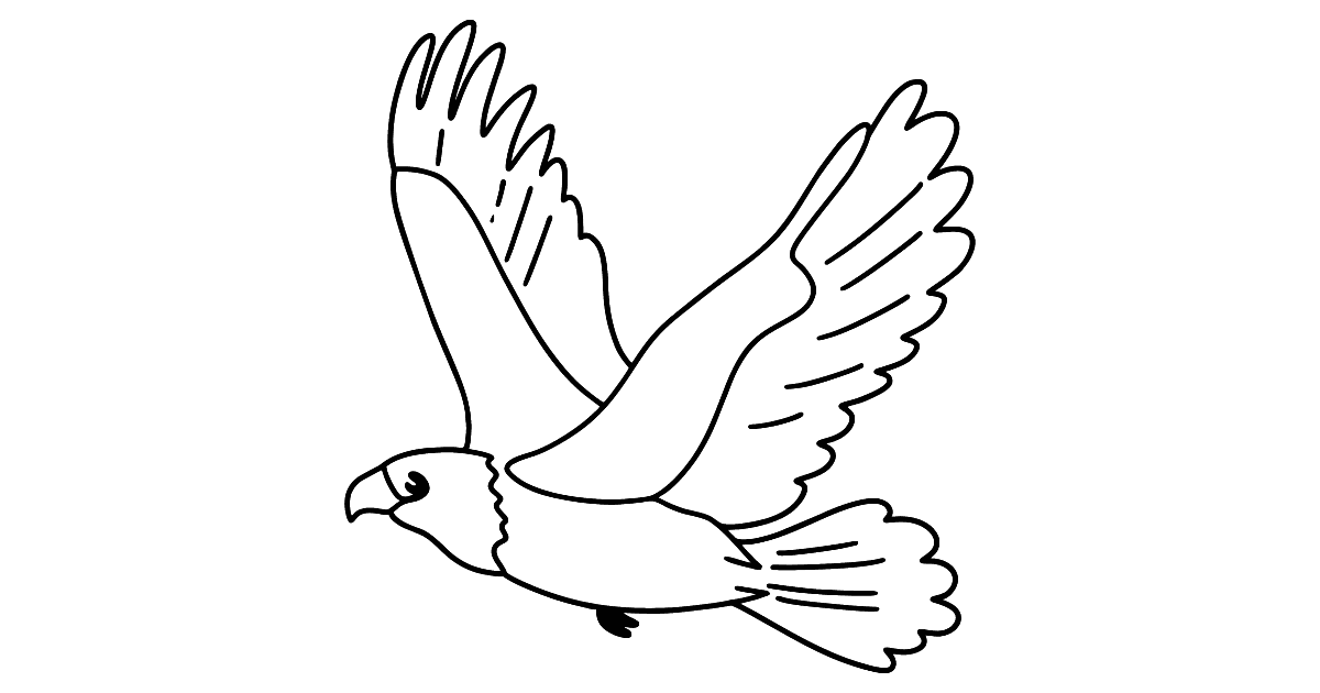 Eagle coloring page ♥ Online or Printable for Free!