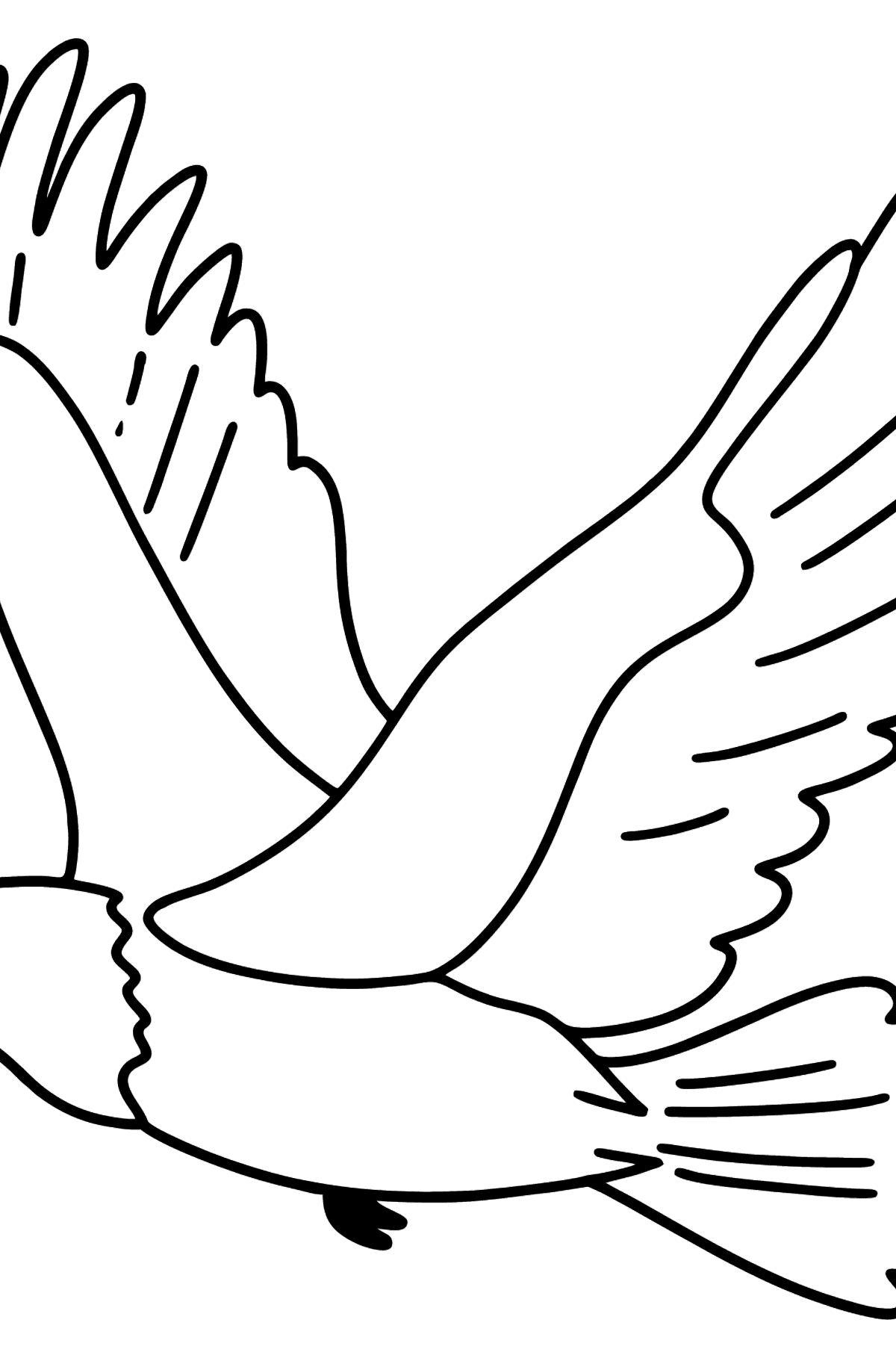 Eagle coloring page - Coloring Pages for Kids