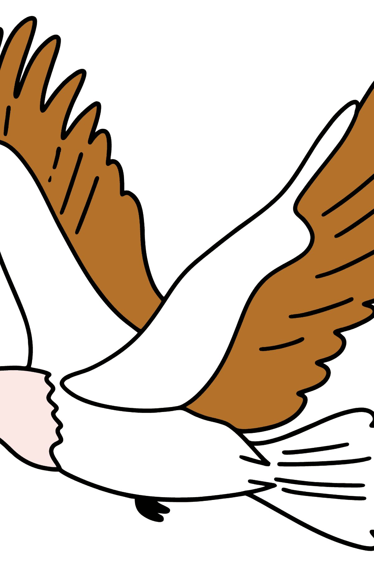 Dibujo de águila para colorear - Dibujos para Colorear para Niños