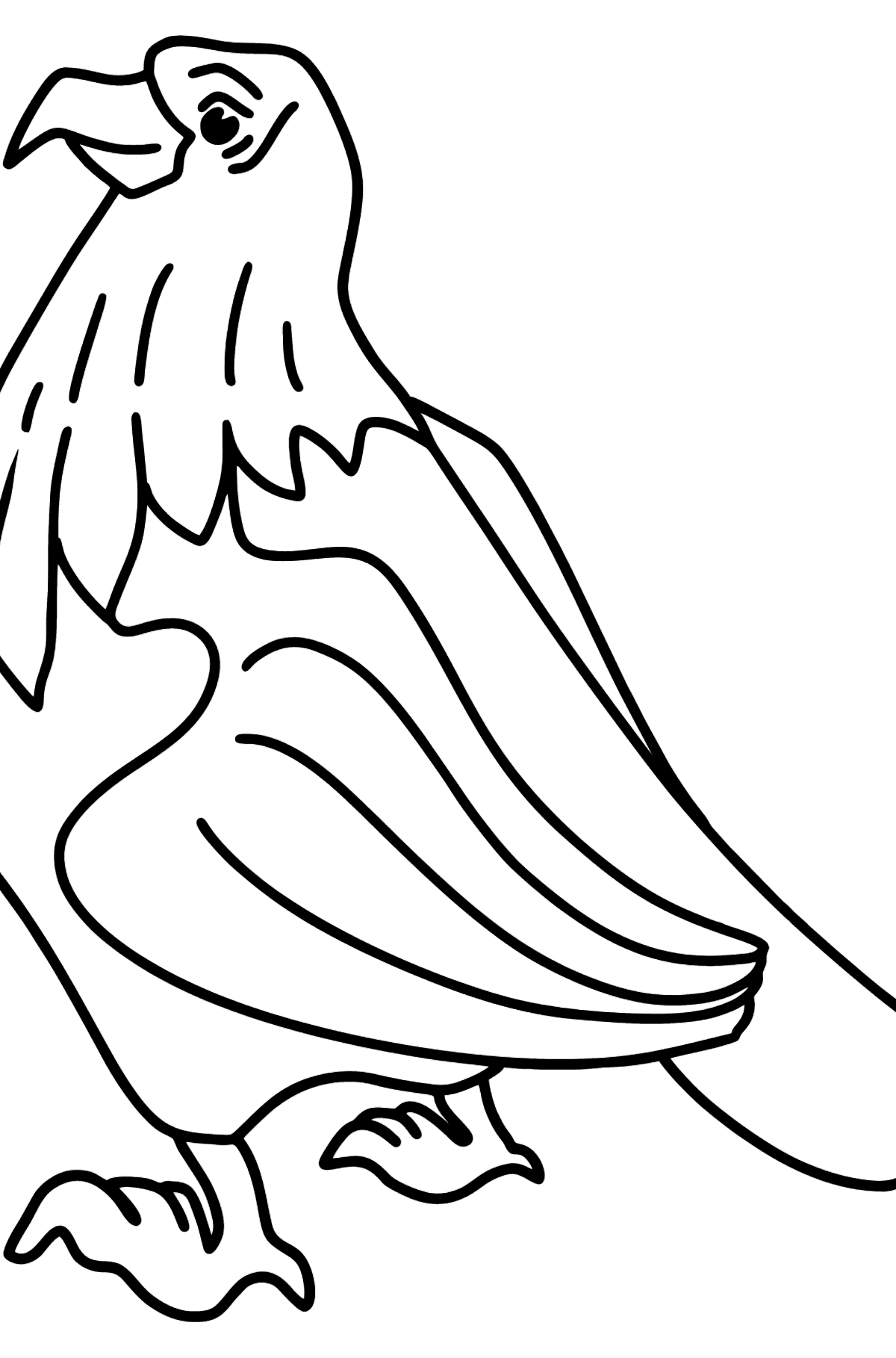 Desenho para colorir de um Falcão - Imagens para Colorir para Crianças