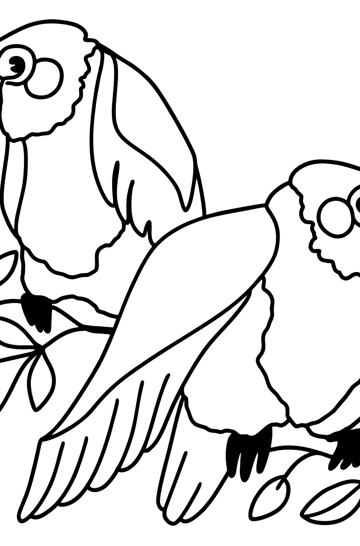 To papegøjer tegning til farvning - Tegninger til farvelægning for børn