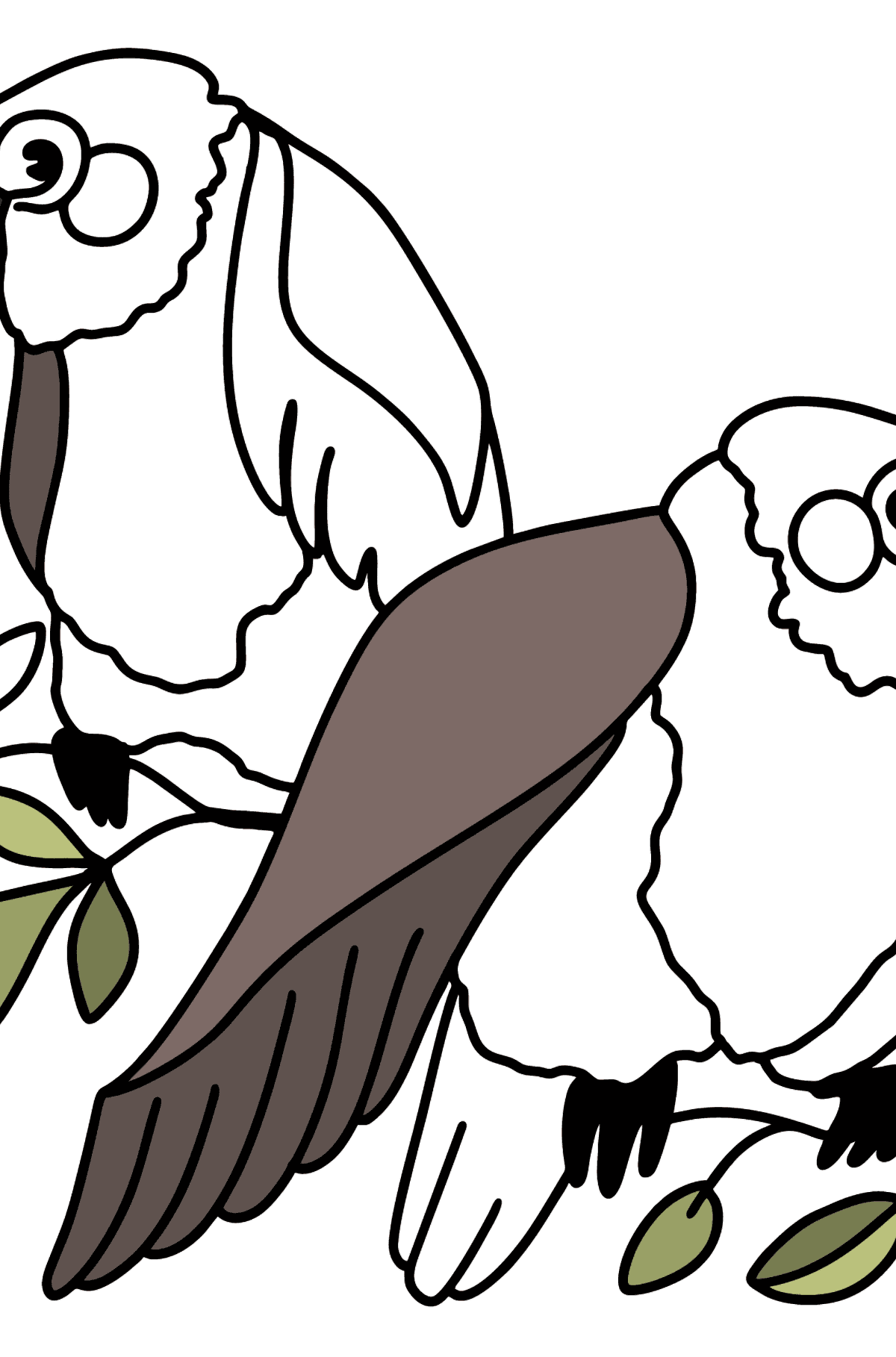 Two Parrots coloring page - Coloring Pages for Kids
