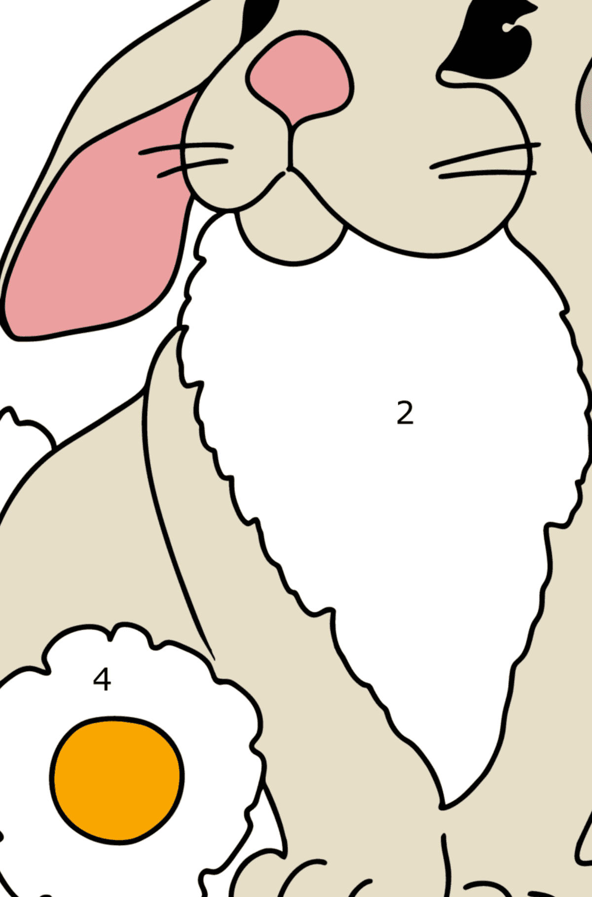Cute Bunny coloring page - Coloring by Numbers for Kids