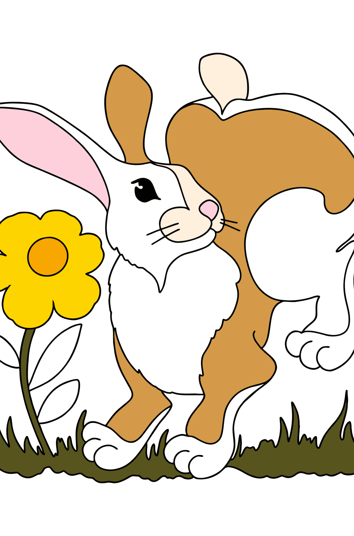 Mewarnai gambar kelinci kecil - Mewarnai gambar untuk anak-anak