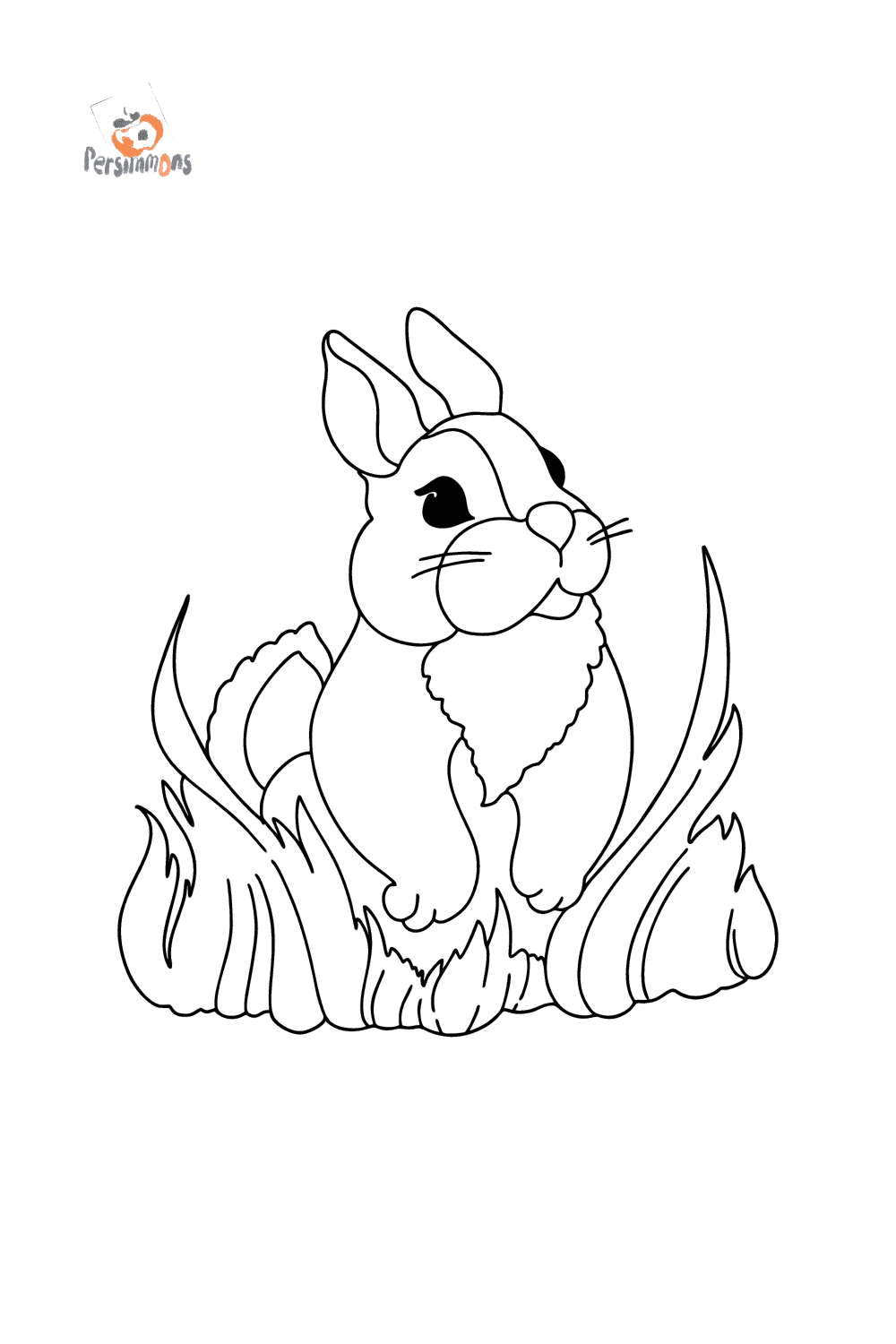 Fluffy Bunny Coloring page ♥ Online and Print for Free!